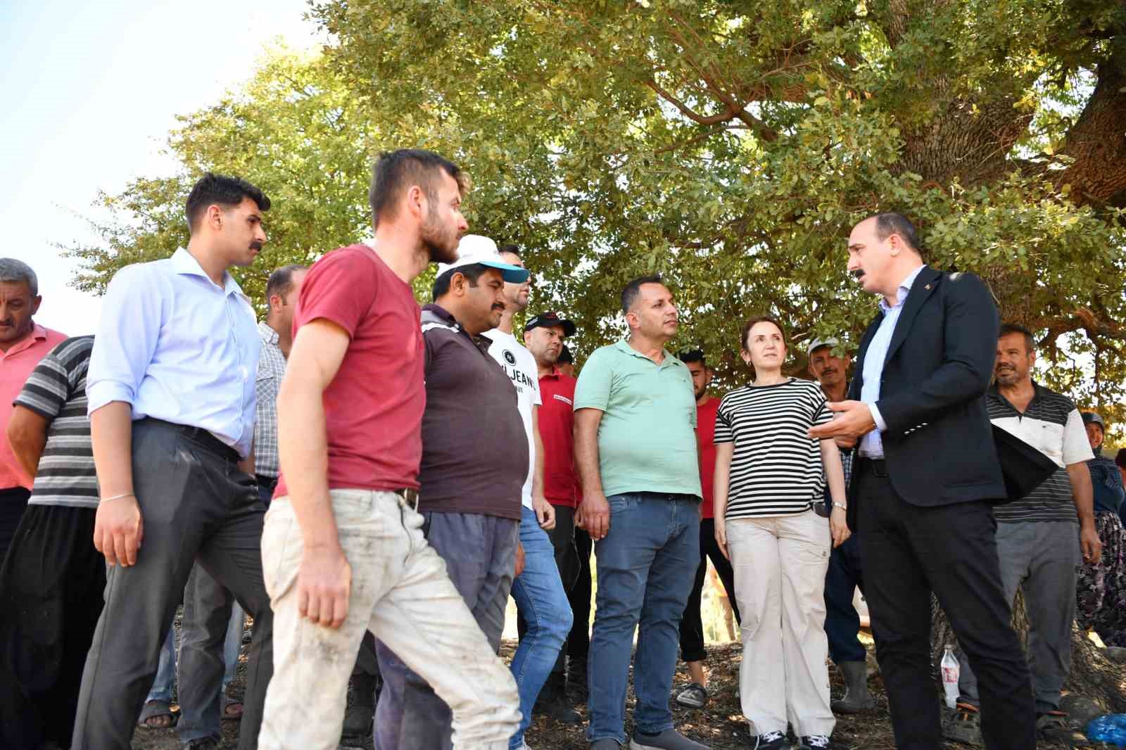 Başkan Kotan, Doyran’daki yangın alanında incelemelerde bulundu
