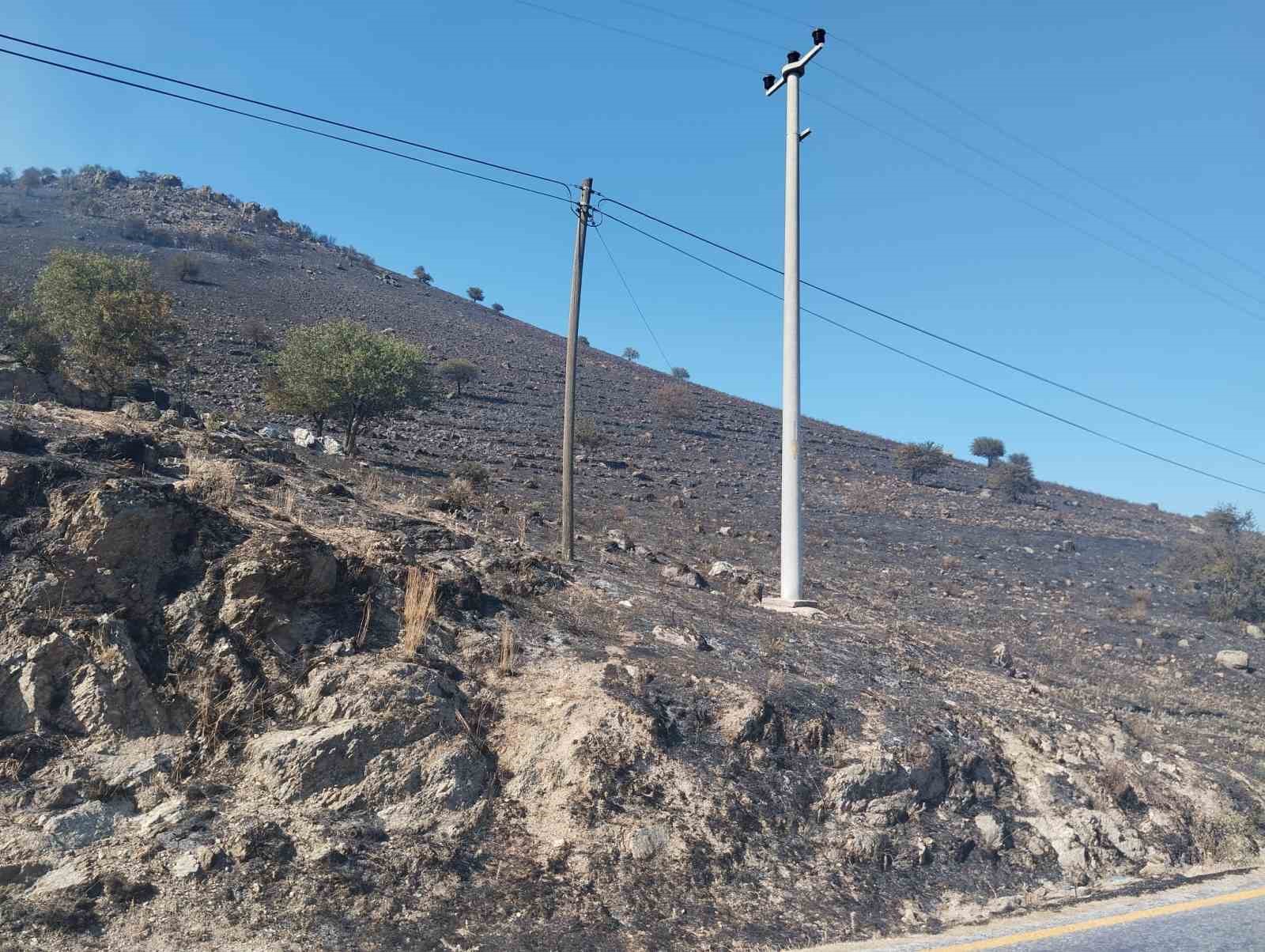 Karpuzlu’daki makilik yangın kontrol altına alındı
