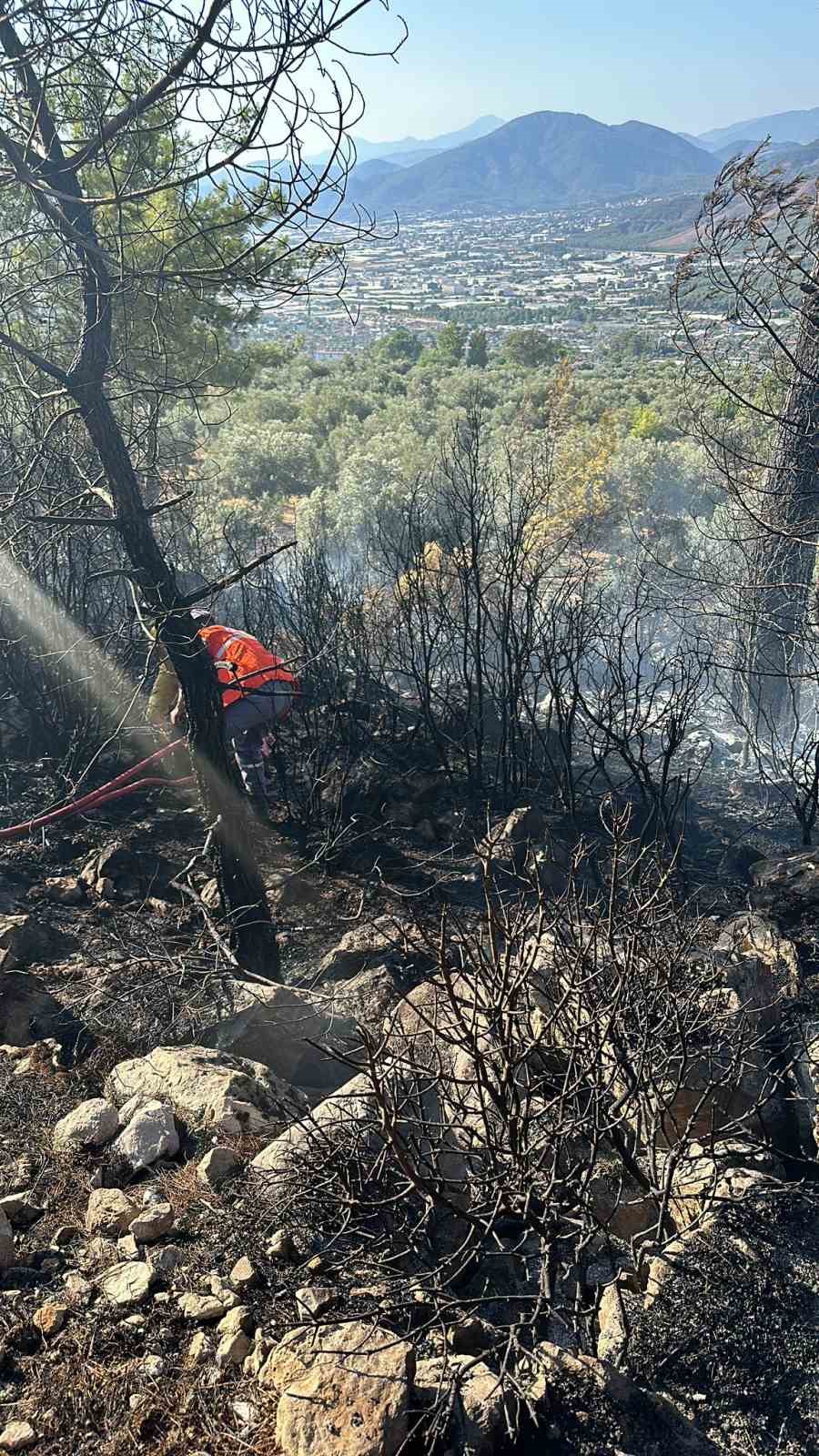 Fethiye’de zeytinlik alanda çıkan yangın kontrol altına alındı
