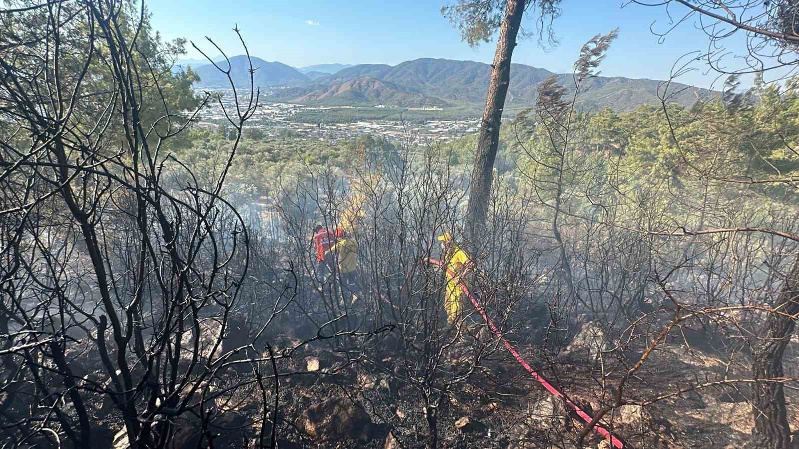 Fethiye’de zeytinlik alanda çıkan yangın kontrol altına alındı
