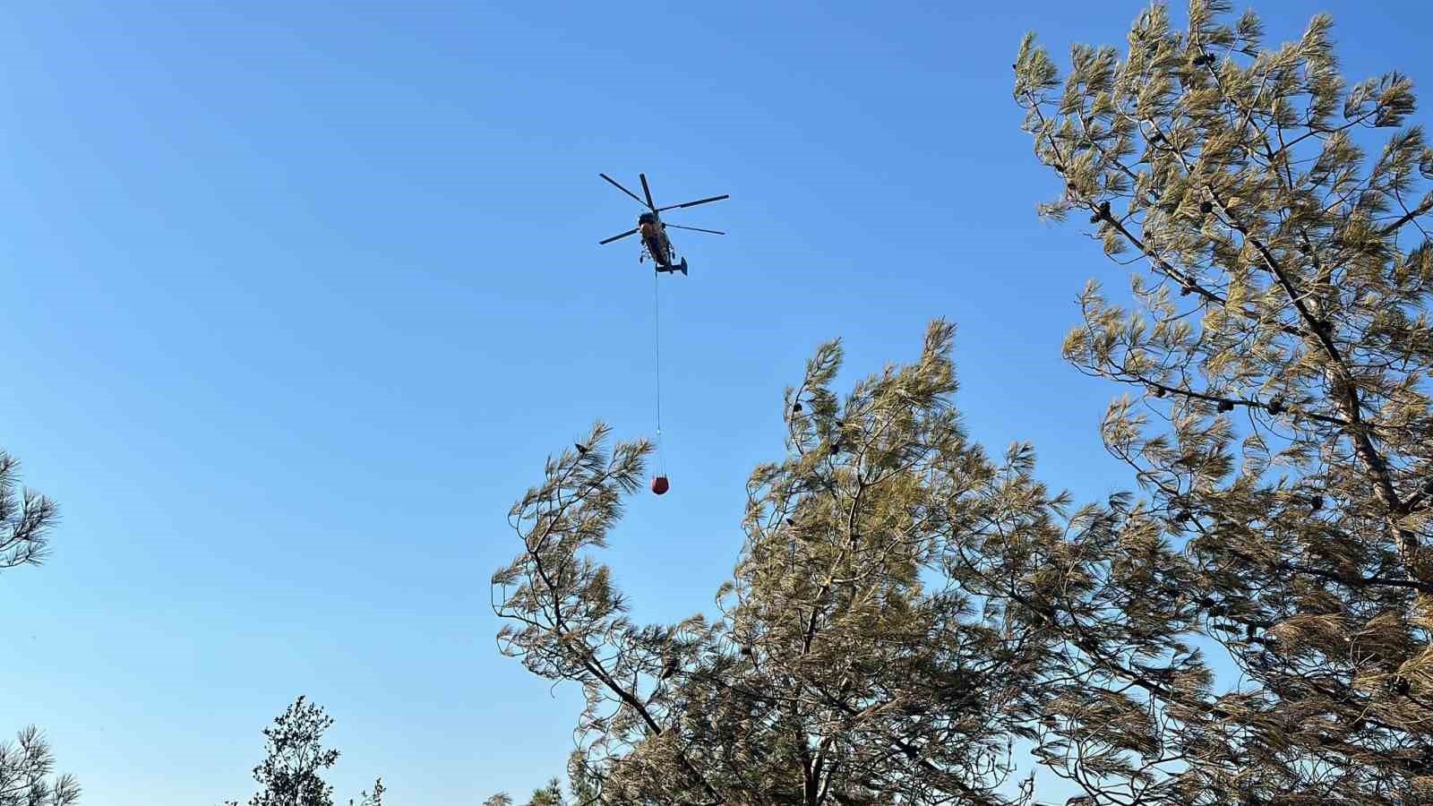 Fethiye’de zeytinlik alanda çıkan yangın kontrol altına alındı
