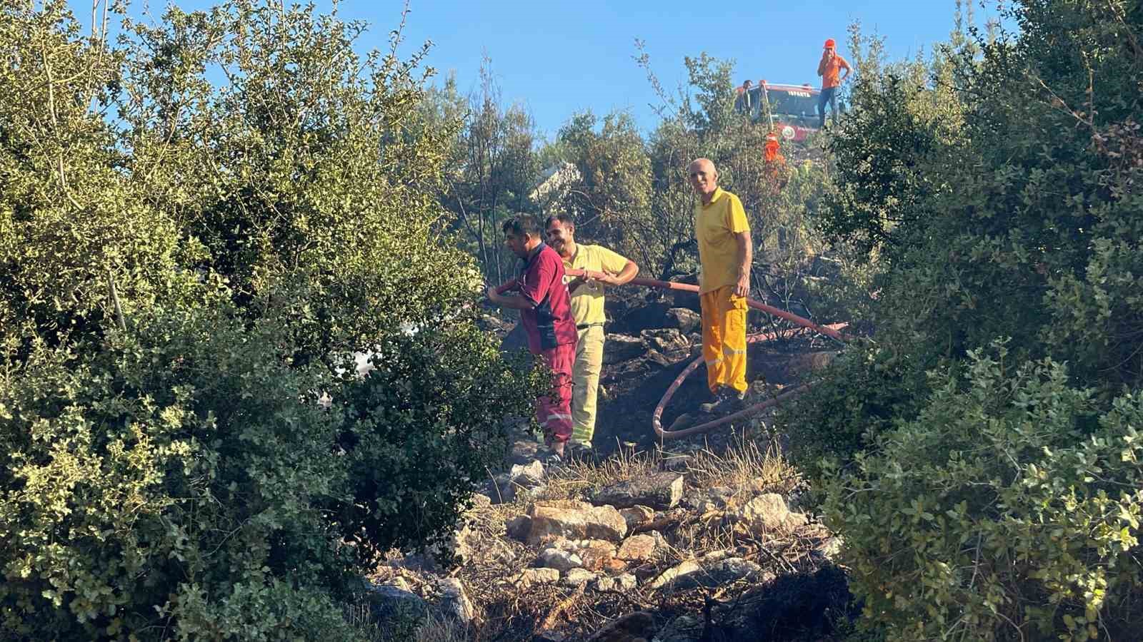 Fethiye’de zeytinlik alanda çıkan yangın kontrol altına alındı
