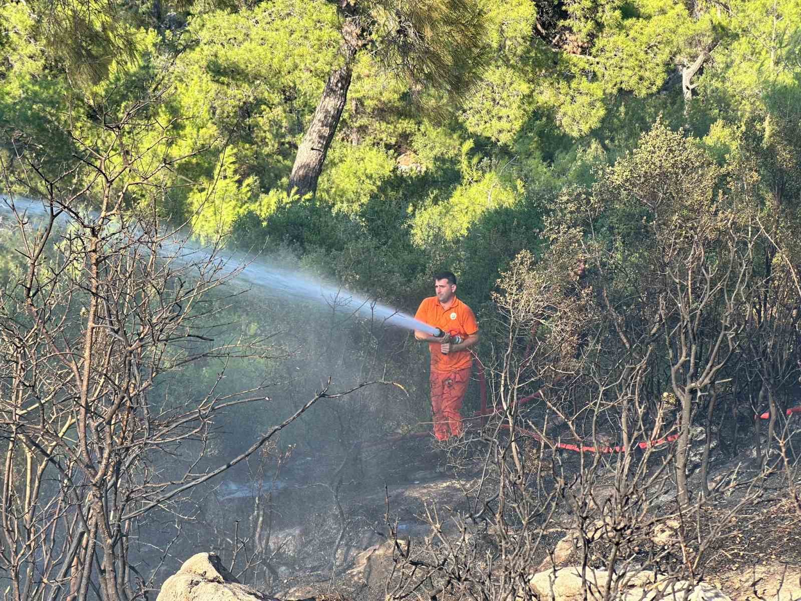 Fethiye’de zeytinlik alanda çıkan yangın kontrol altına alındı
