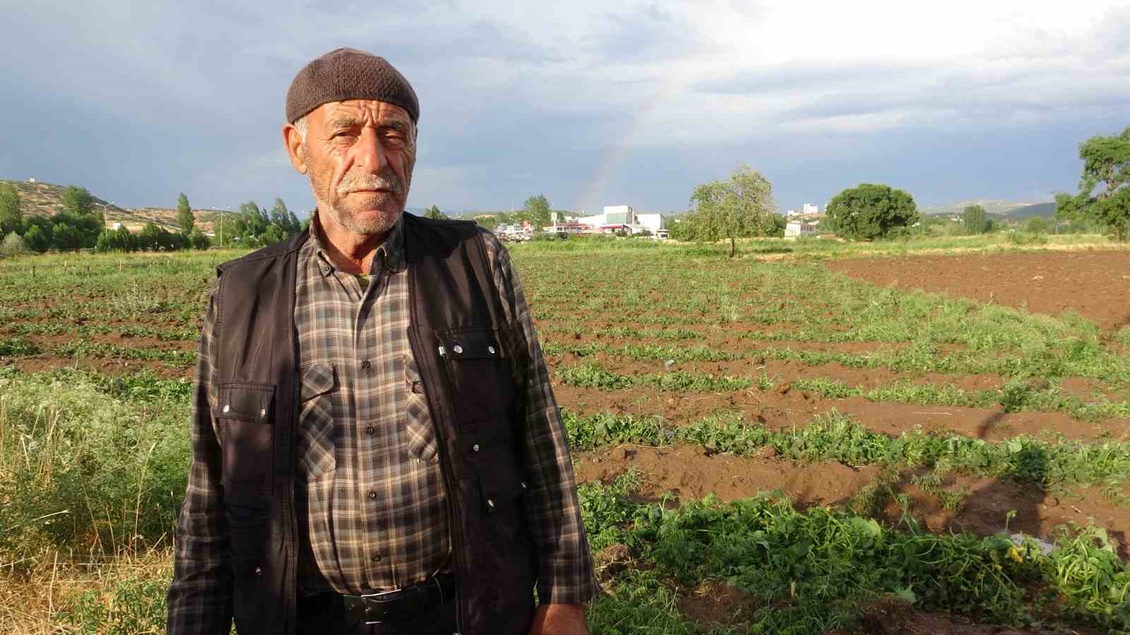 Bingöl’de bölgesel dolu yağışı sebze fidelerine zarar verdi
