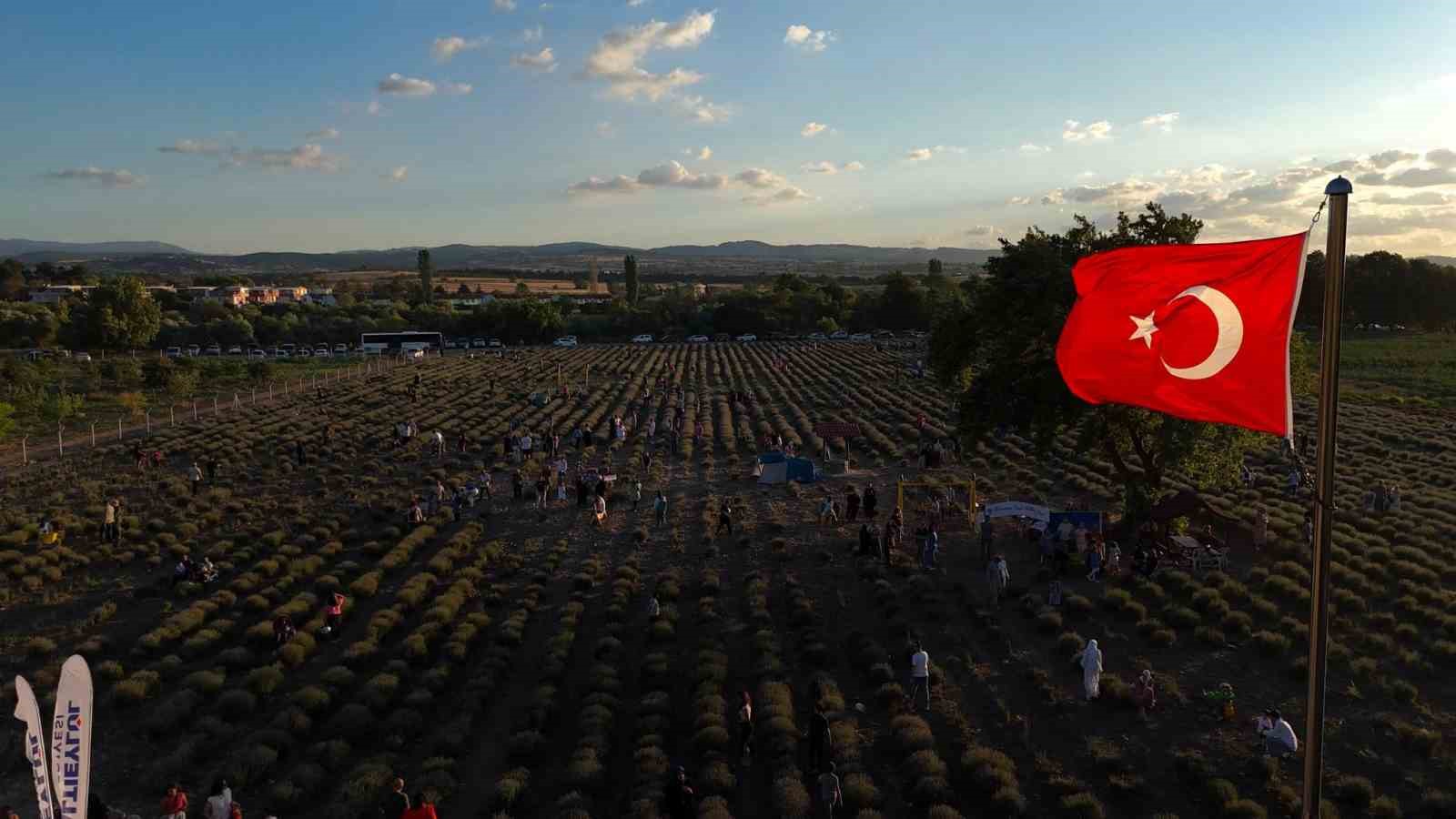 Altıeylül Lavanta Günleri’ne ziyaretçi akını
