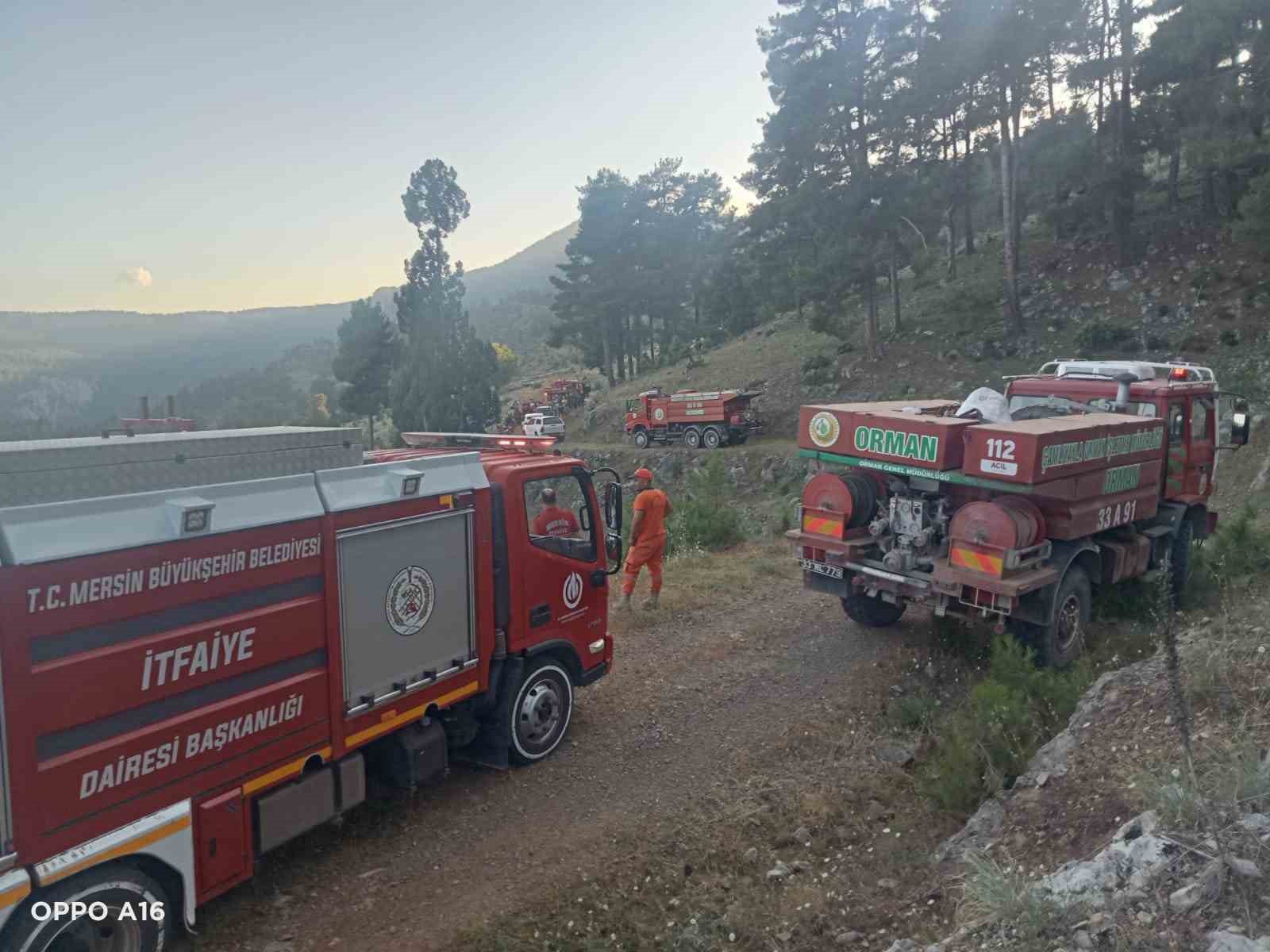 Tarsus’ta orman yangını kısa sürede söndürüldü
