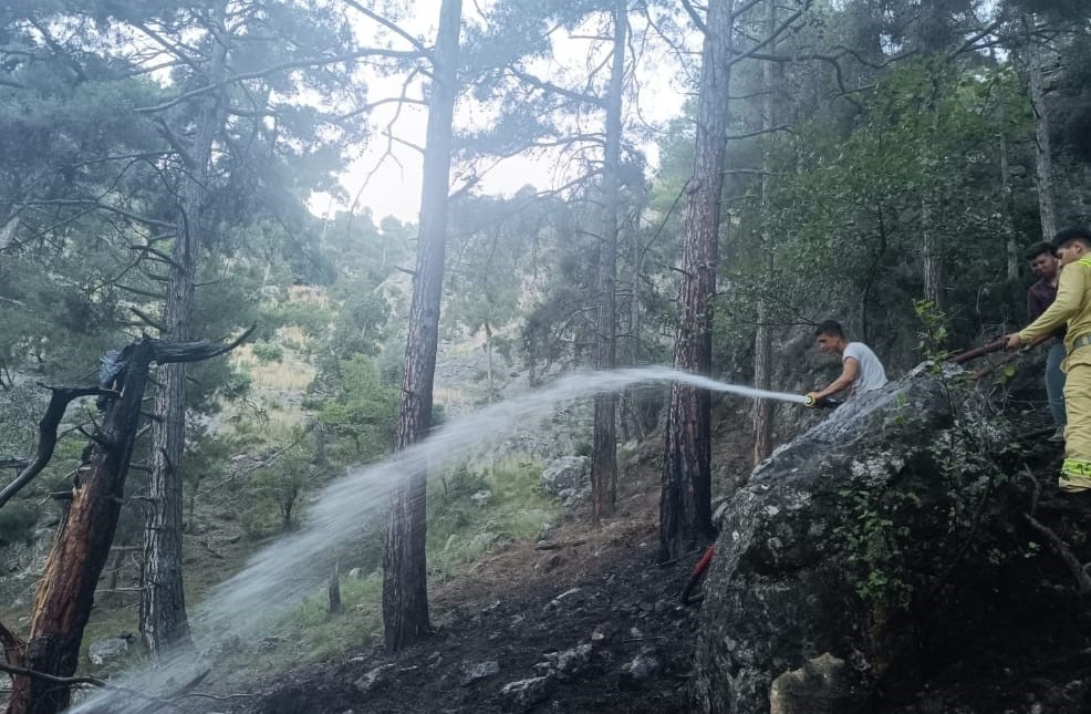 Tarsus’ta orman yangını kısa sürede söndürüldü
