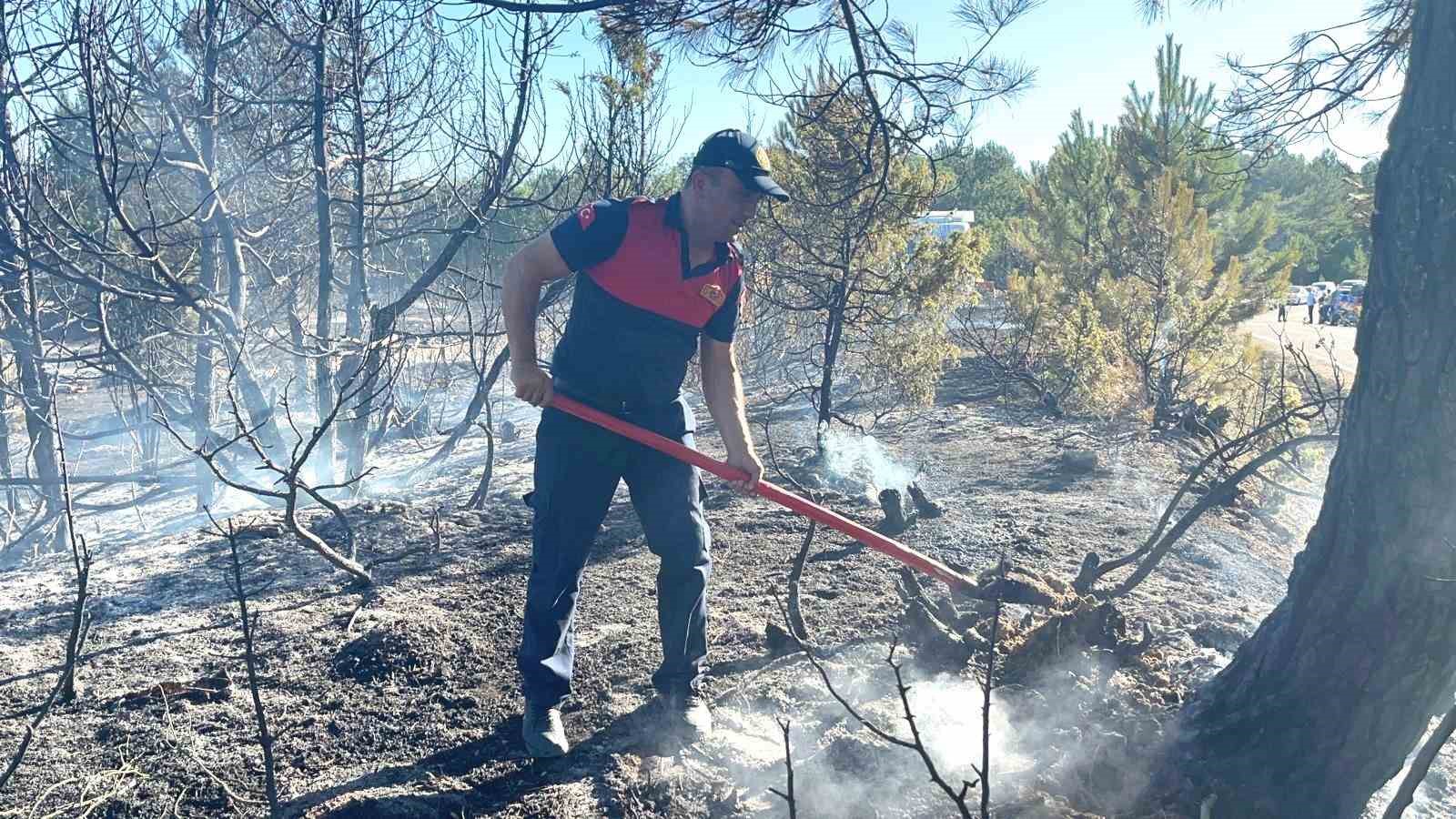 Emet’teki orman yangını büyümeden söndürüldü
