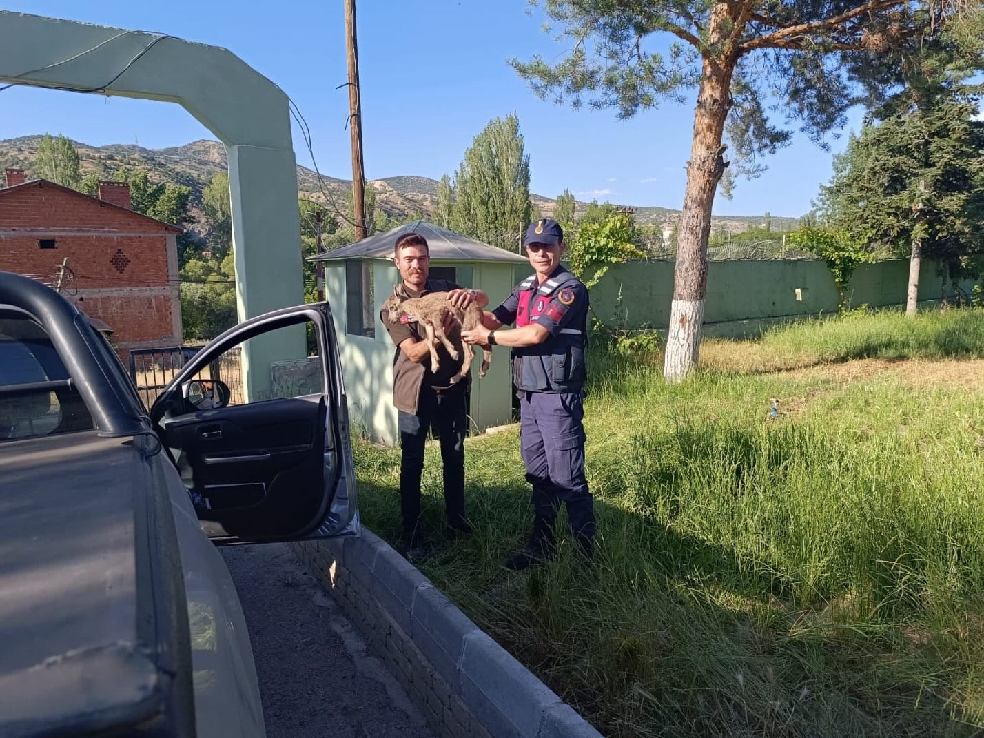 Dağ keçisi yavrusuna jandarma şefkati
