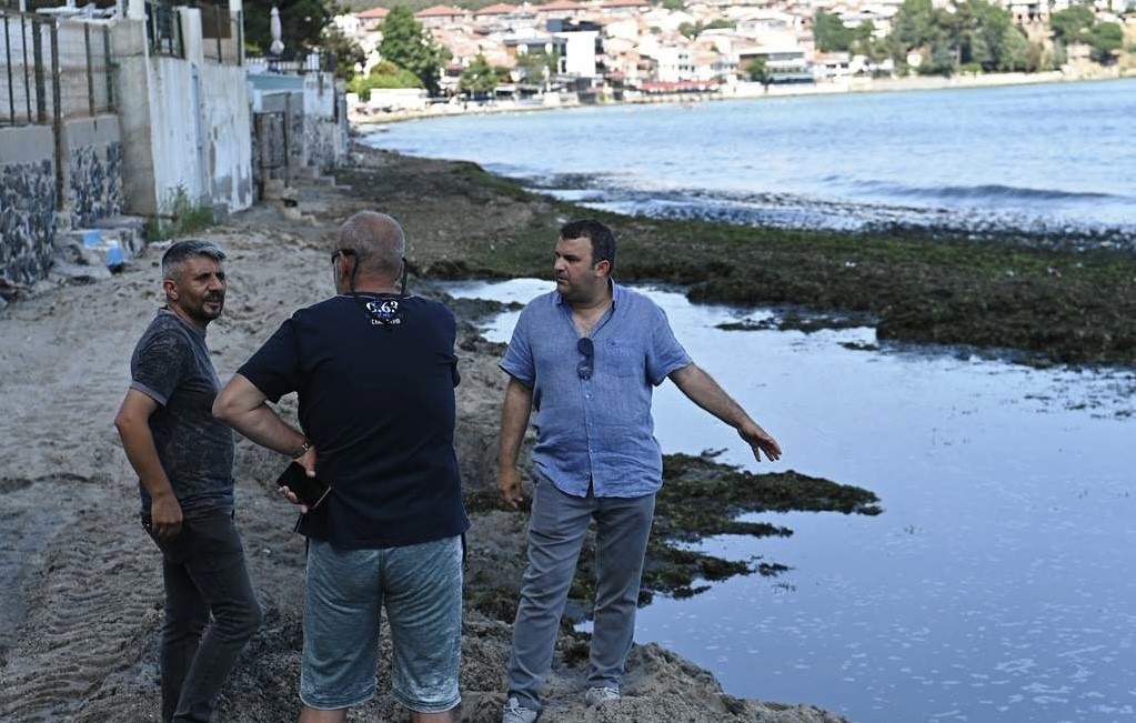 Sahilde temizlik çalışması: Kepçeyle toplanan yosunlar kamyonlara dolduruldu
