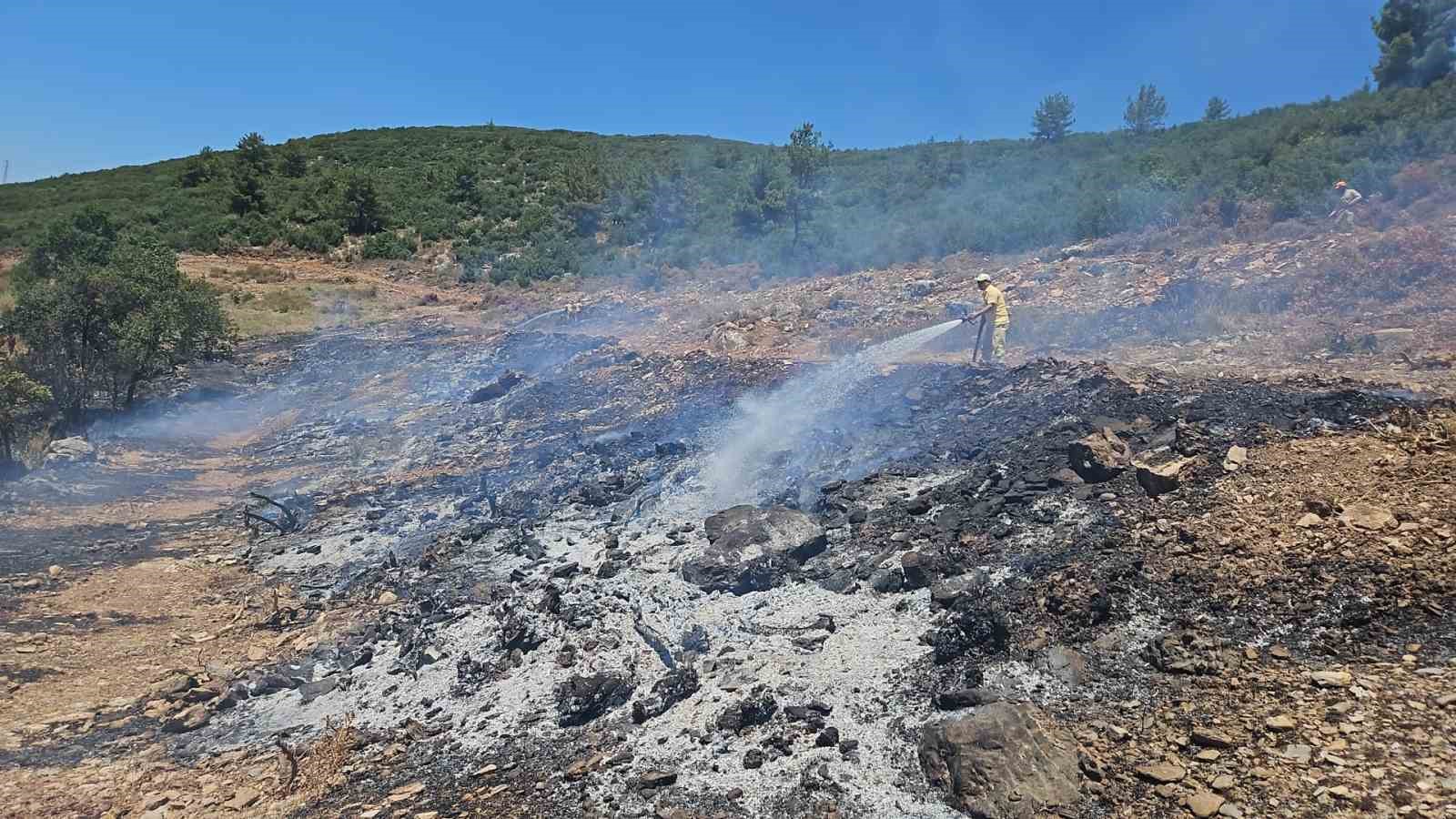 Muğla’daki arazi yangını kontrol altına alındı
