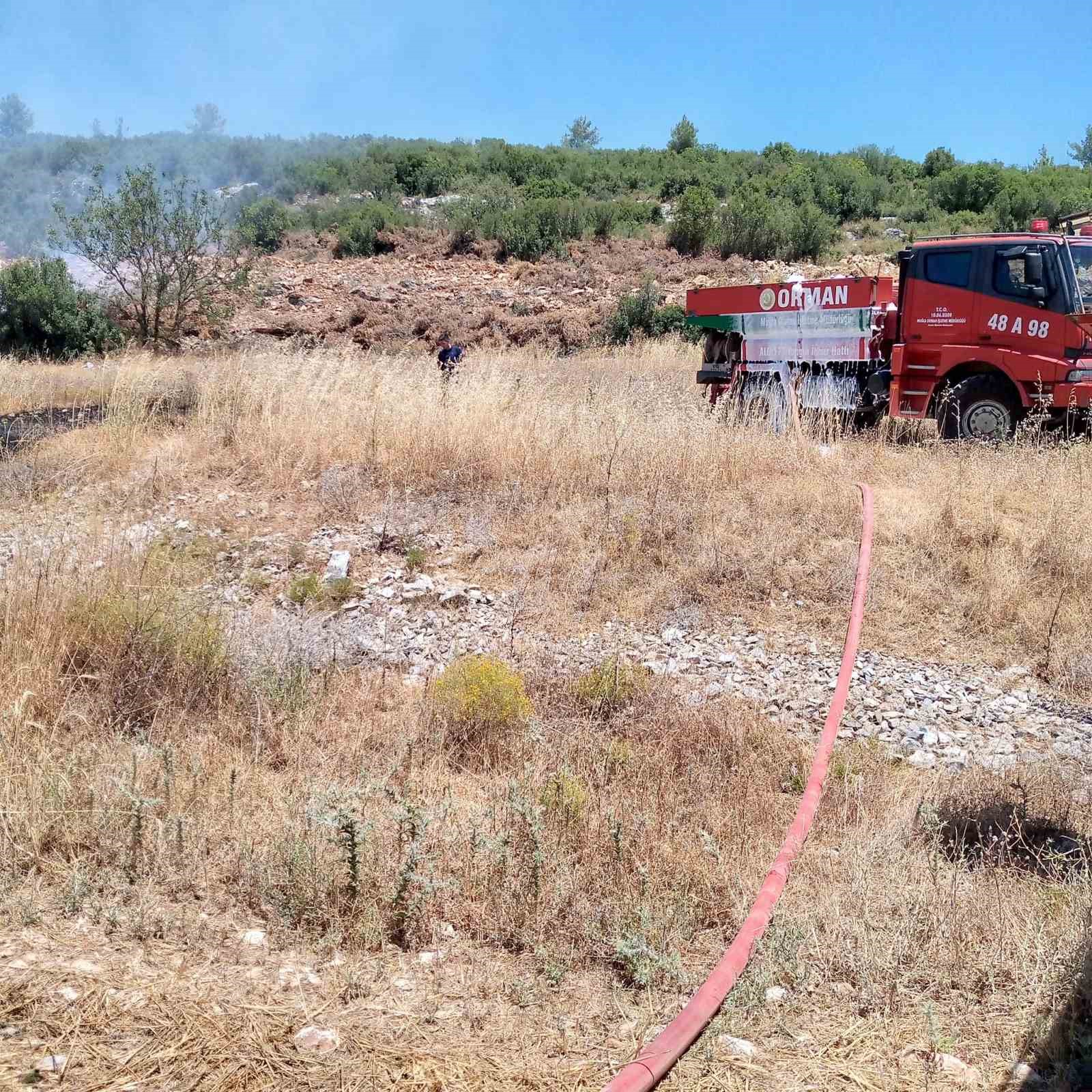 Muğla’daki arazi yangını kontrol altına alındı
