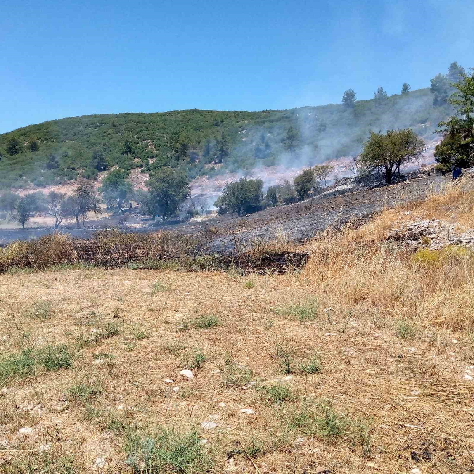 Muğla’daki arazi yangını kontrol altına alındı
