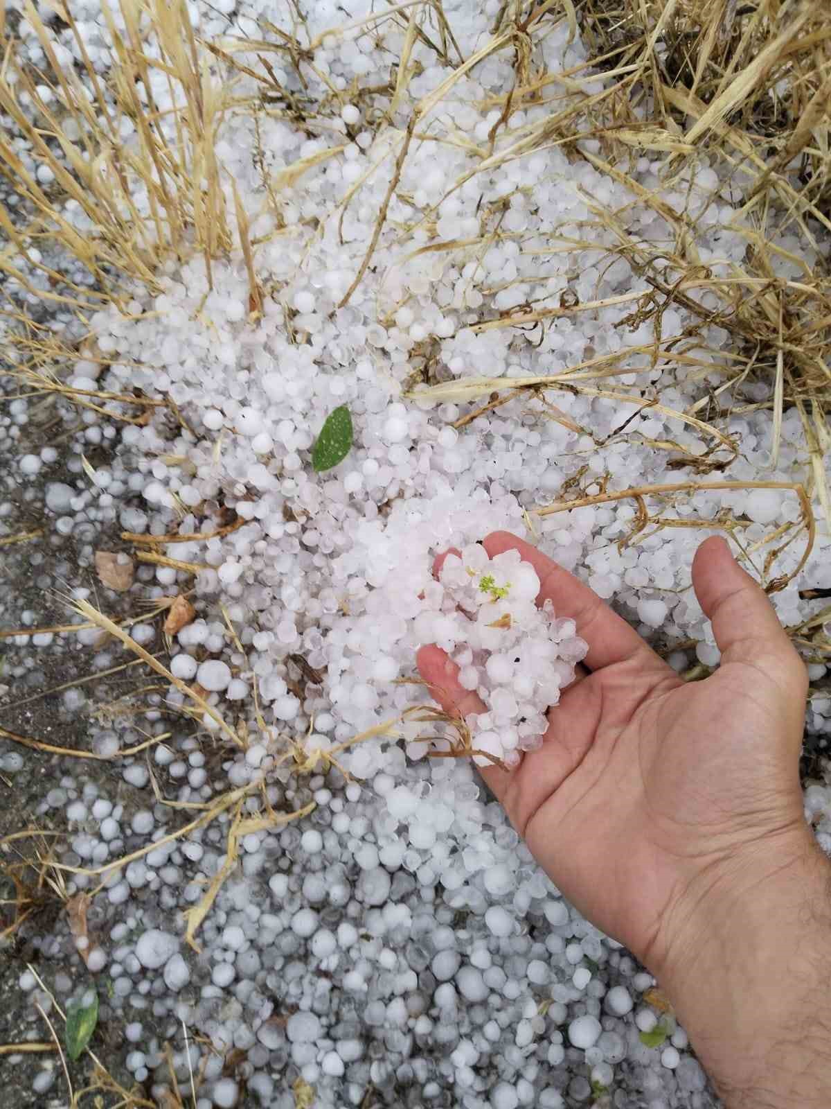 Erzincan’ın Tercan ilçesinde dolu etkili oldu
