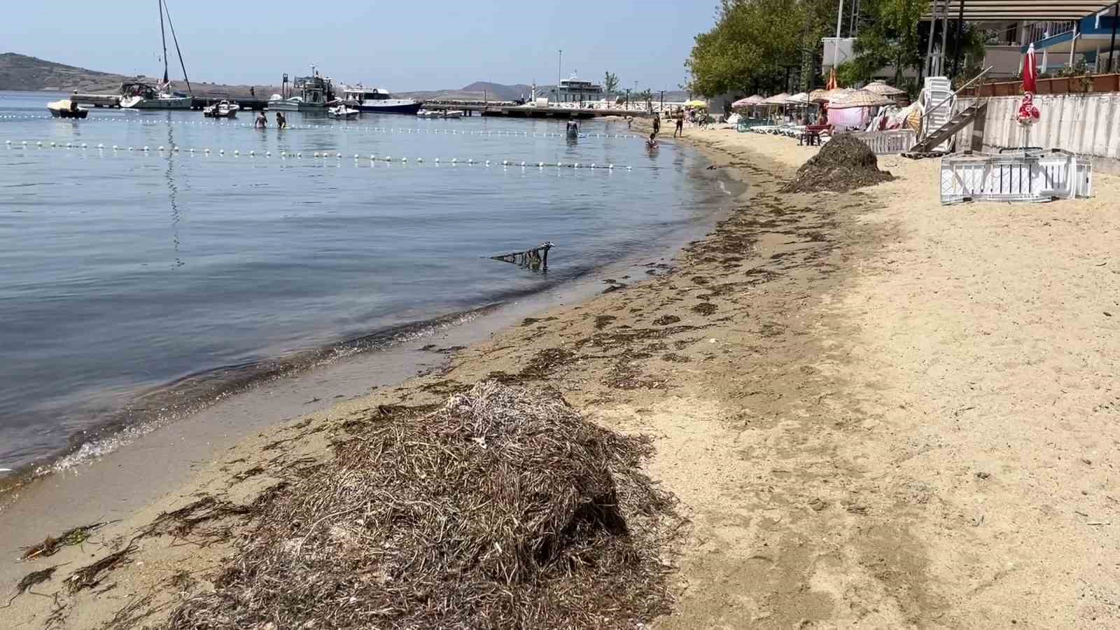 Devlet korumasındaki deniz çayırlarını söktüler
