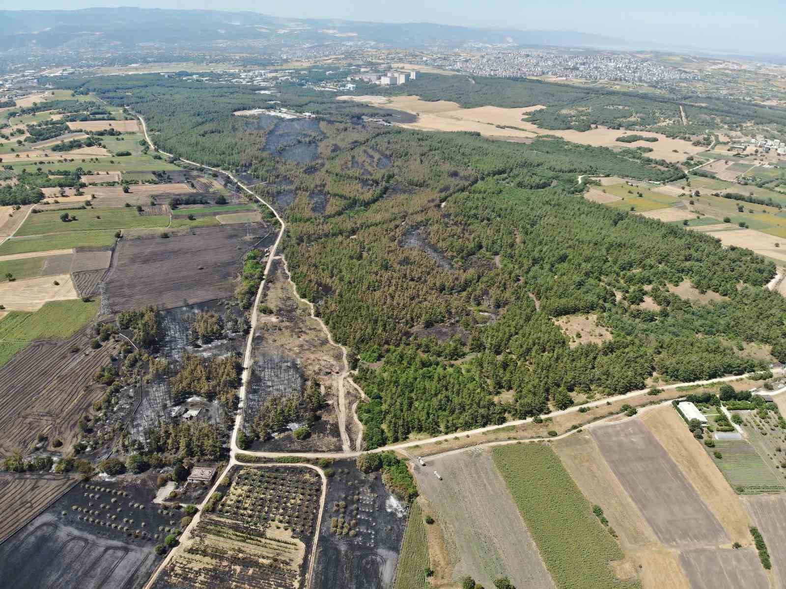 Başkan Bozbey’den ağaçlandırma çağrısı
