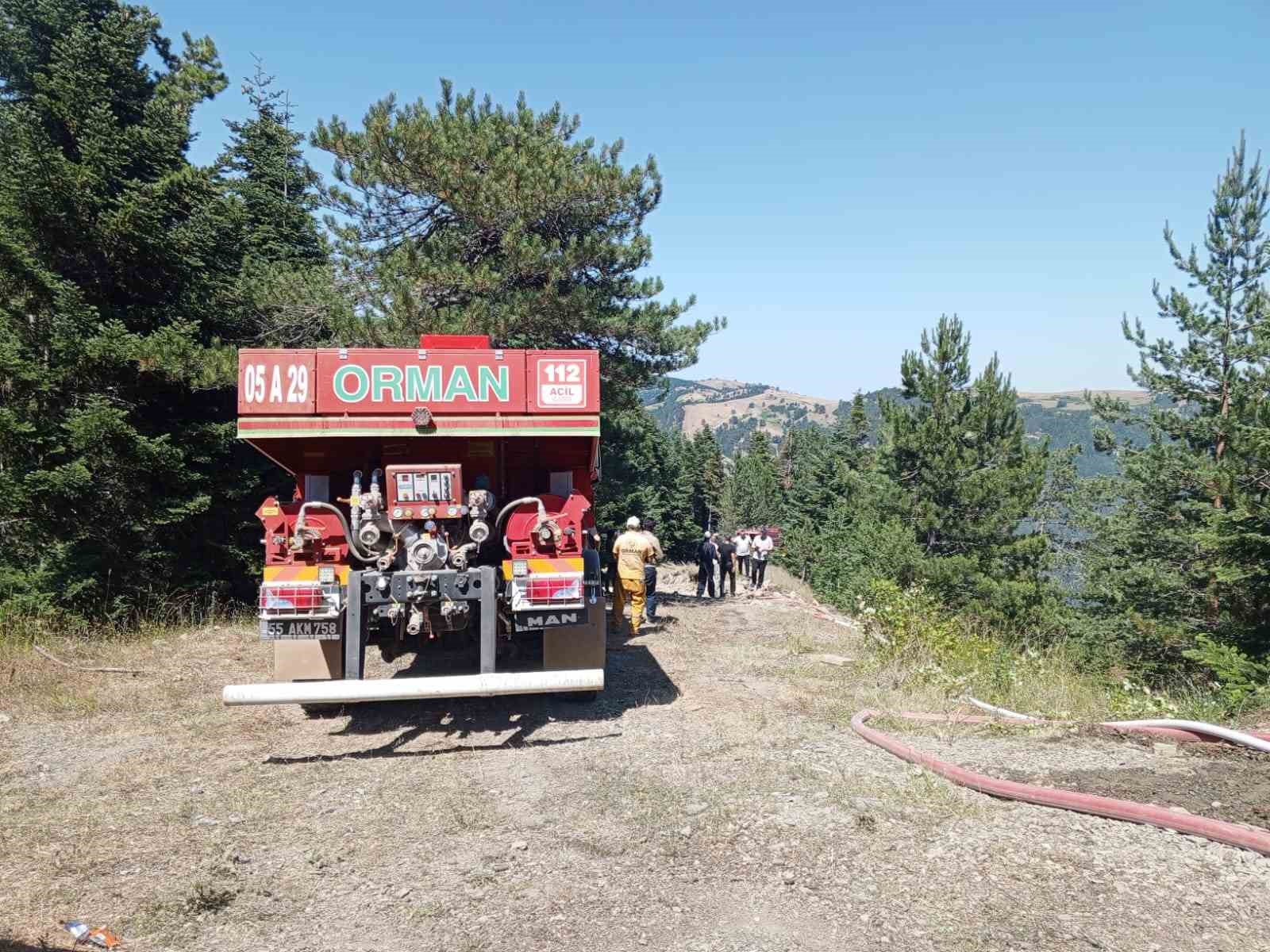 Samsun’da orman yangını
