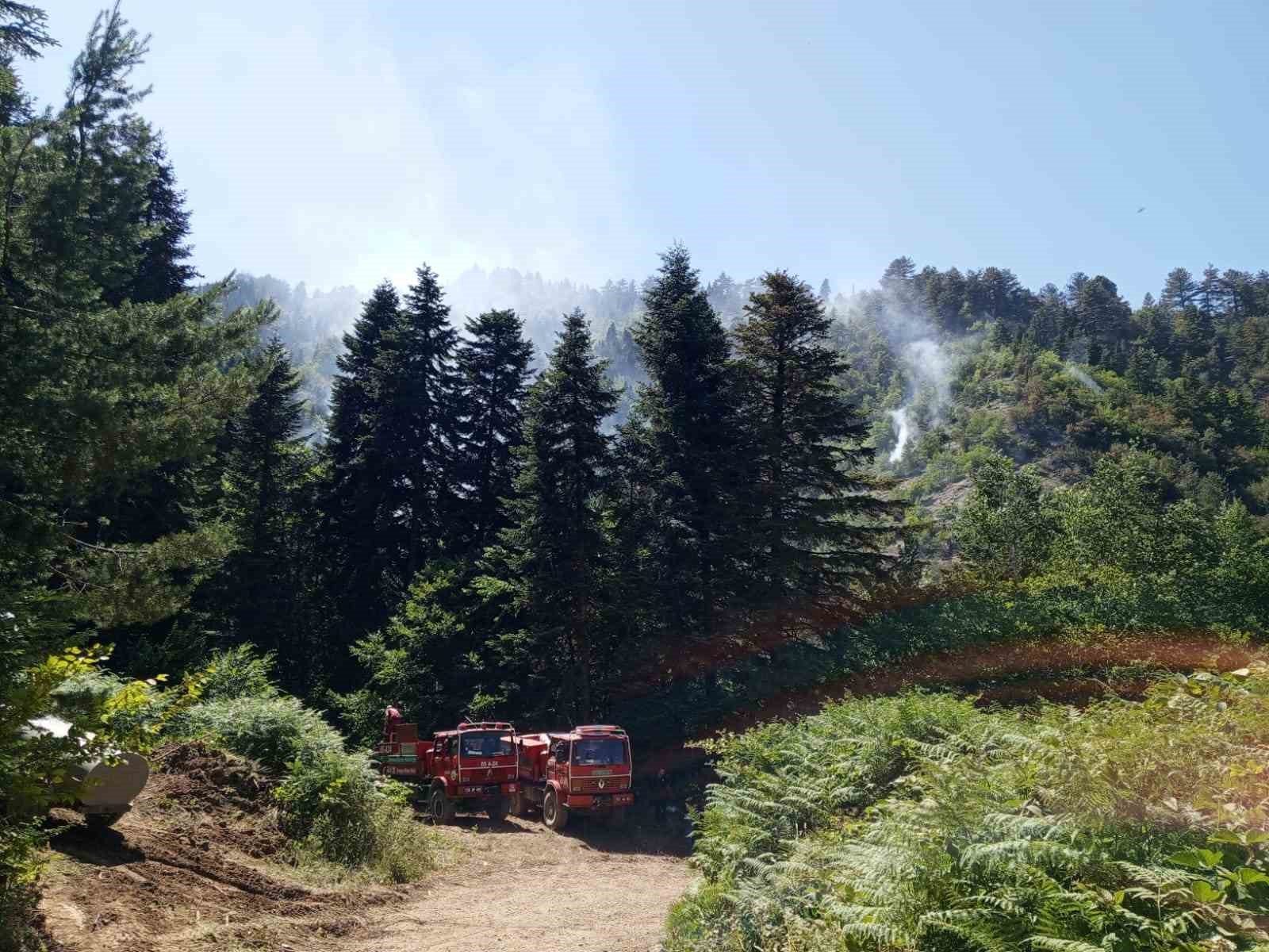 Samsun’da orman yangını
