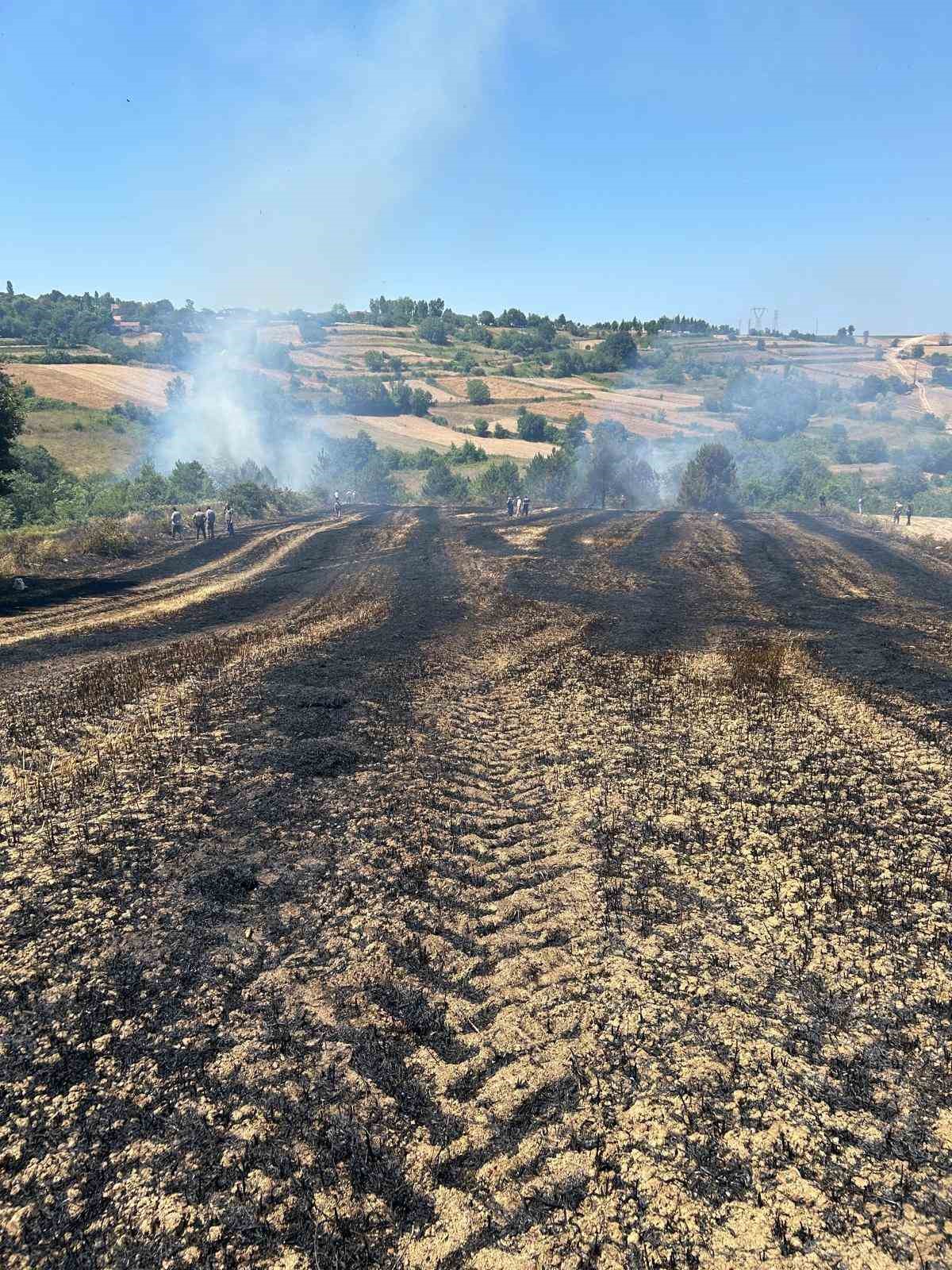 Biçerdöverden sıçrayan kıvılcım yangına yol açtı
