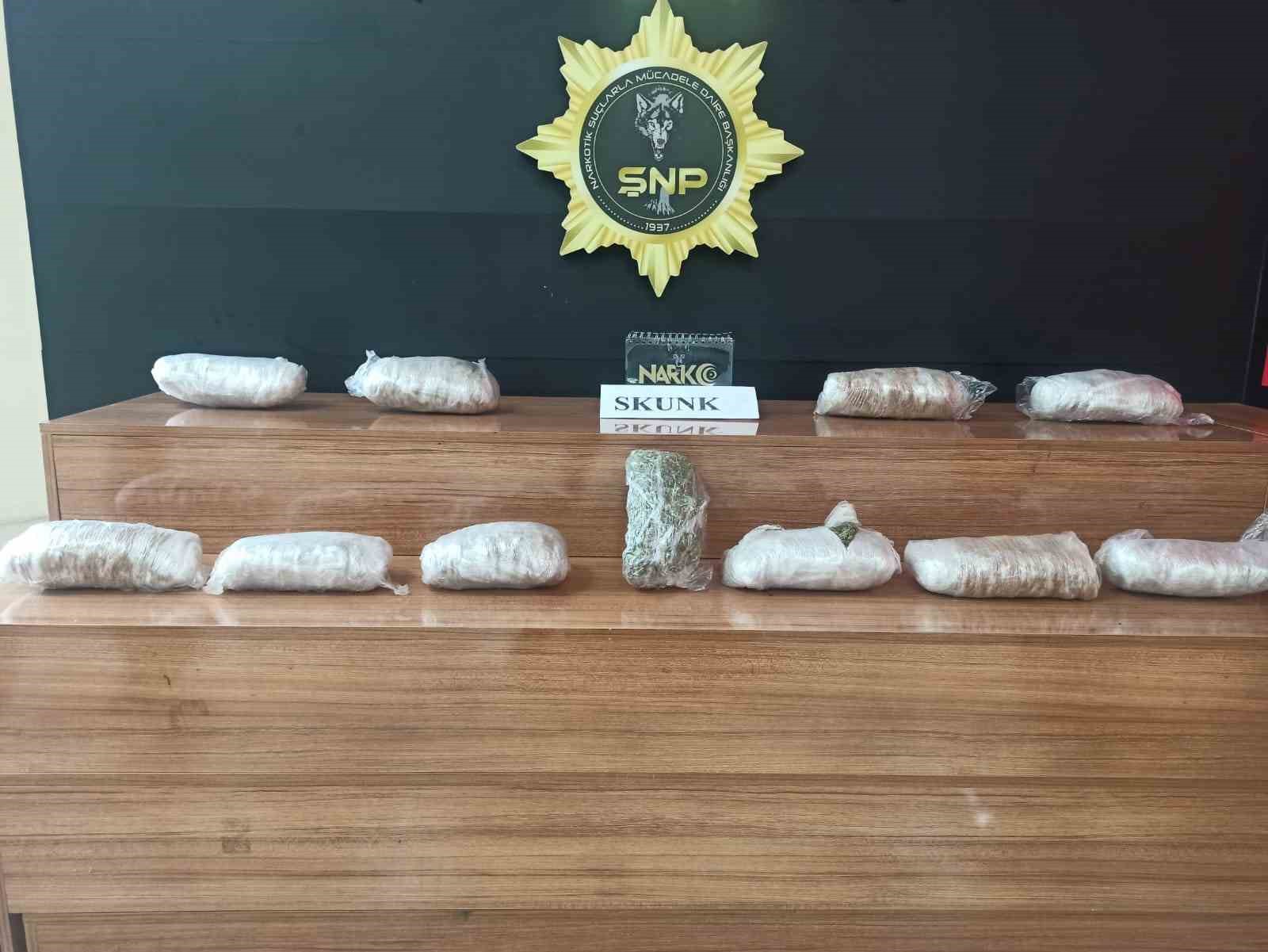 Şanlıurfa’da 6 kilo 550 gram skunk ele geçirildi
