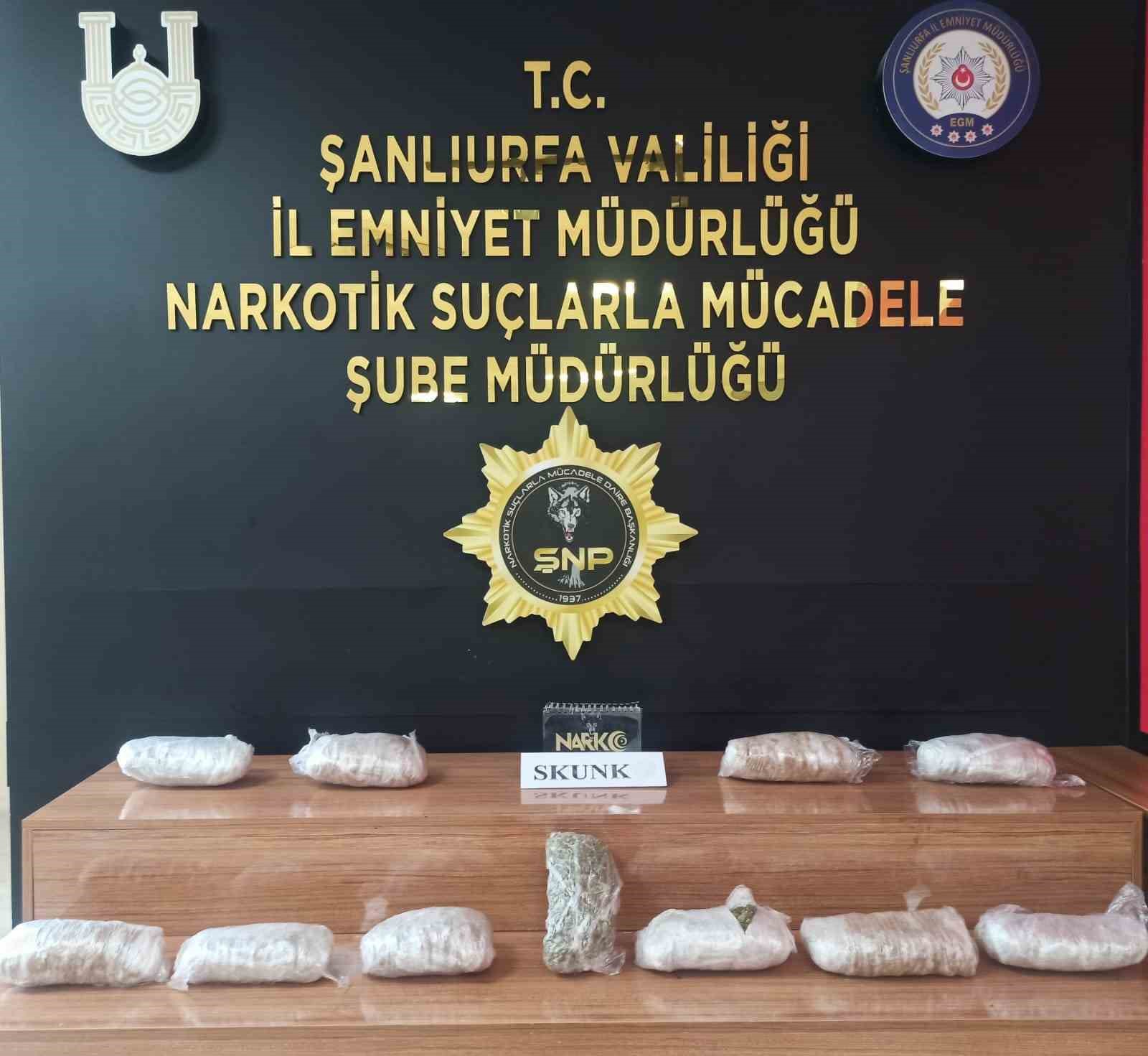 Şanlıurfa’da 6 kilo 550 gram skunk ele geçirildi
