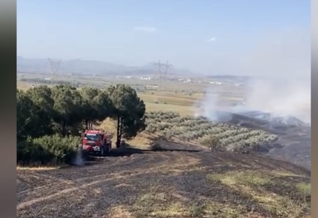 Osmaniye’de ormana yakın bölgede çıkan anız yangını büyümeden söndürüldü
