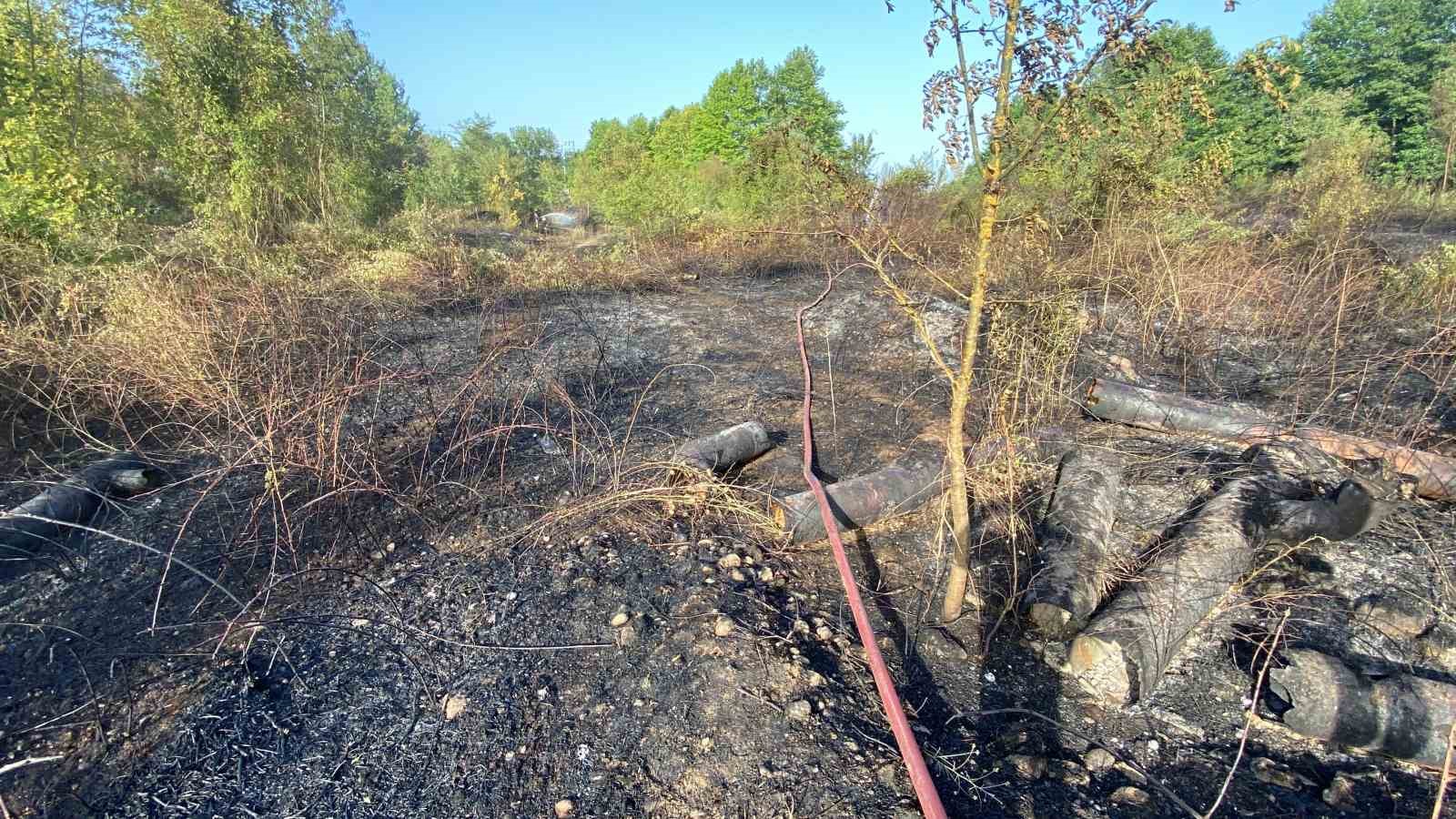 Kocaeli’de ağaçlık alan yandı: 10 hektar küle döndü
