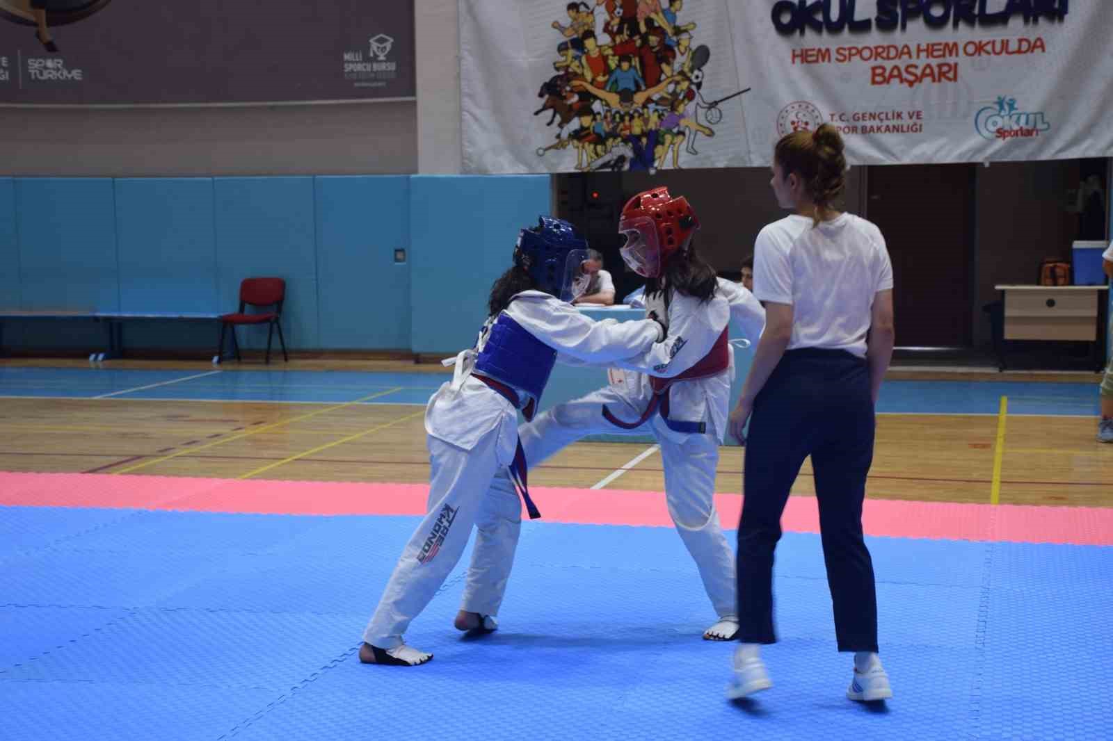 Taekwondo il seçmesi tamamlandı
