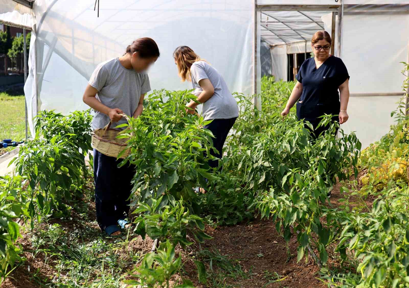 Adana’da ruh sağlığı tedavisi görenler tarımla terapi oluyor
