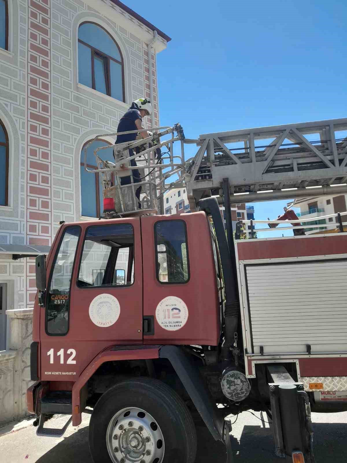 Cami kubbesinde mahsur kalan yaralı leyleğe kurtarma operasyonu
