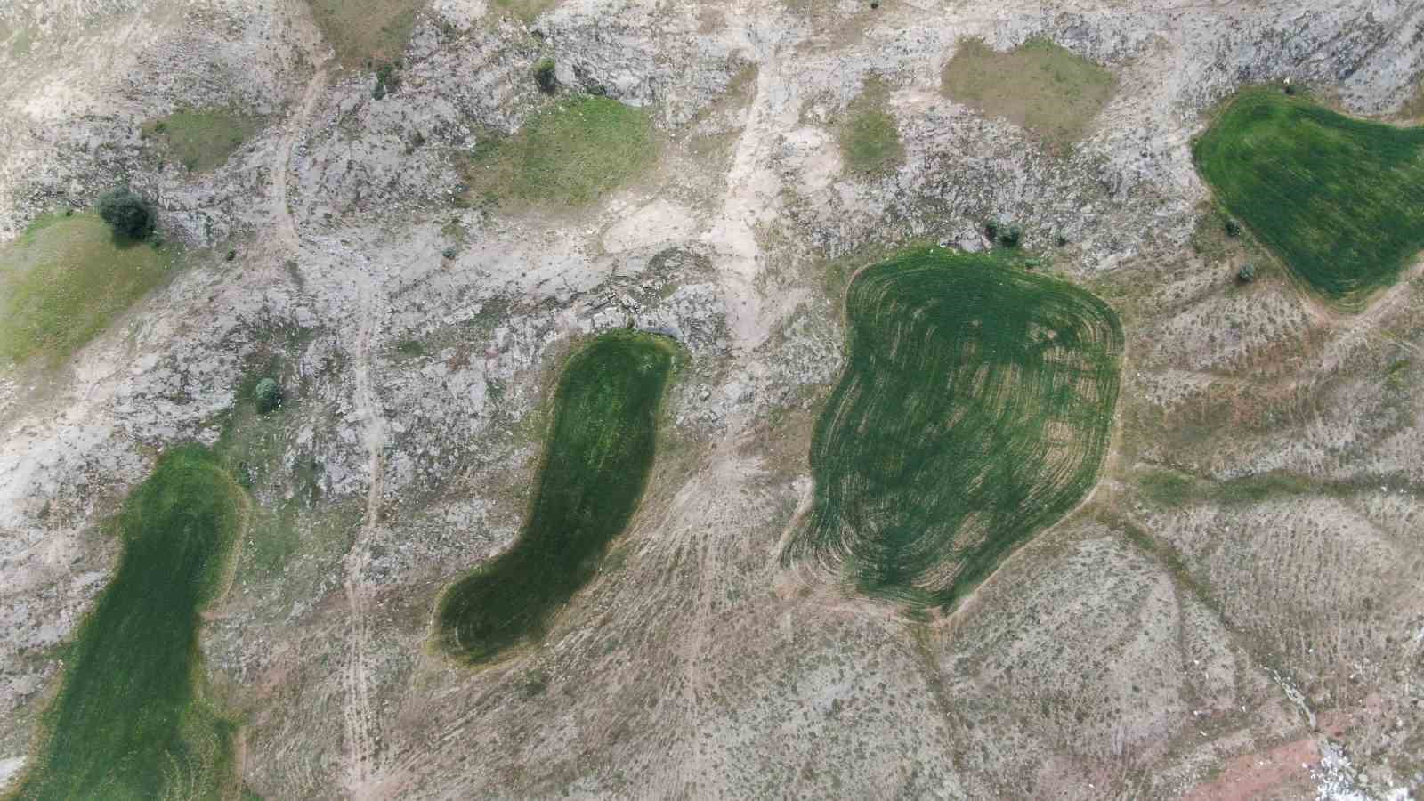 Turizme kazandırılması beklenen dolinler tarımda kullanılıyor
