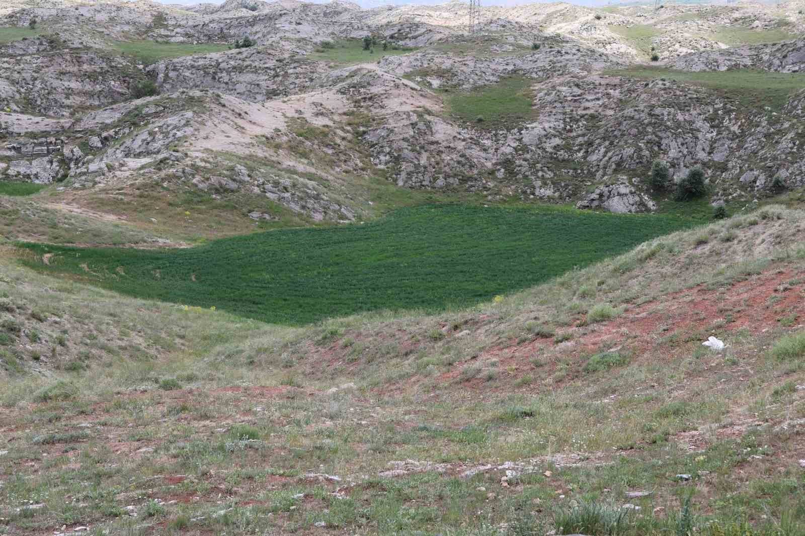 Turizme kazandırılması beklenen dolinler tarımda kullanılıyor
