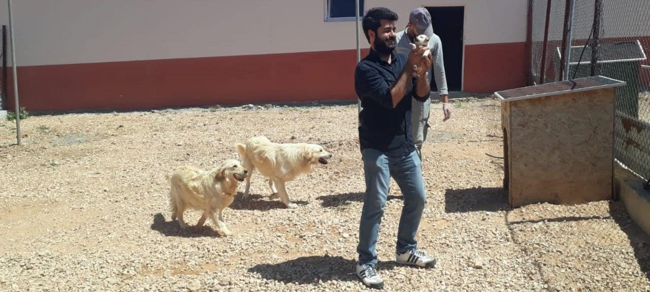 Elazığ’da Hayvan Bakımevinde denetim
