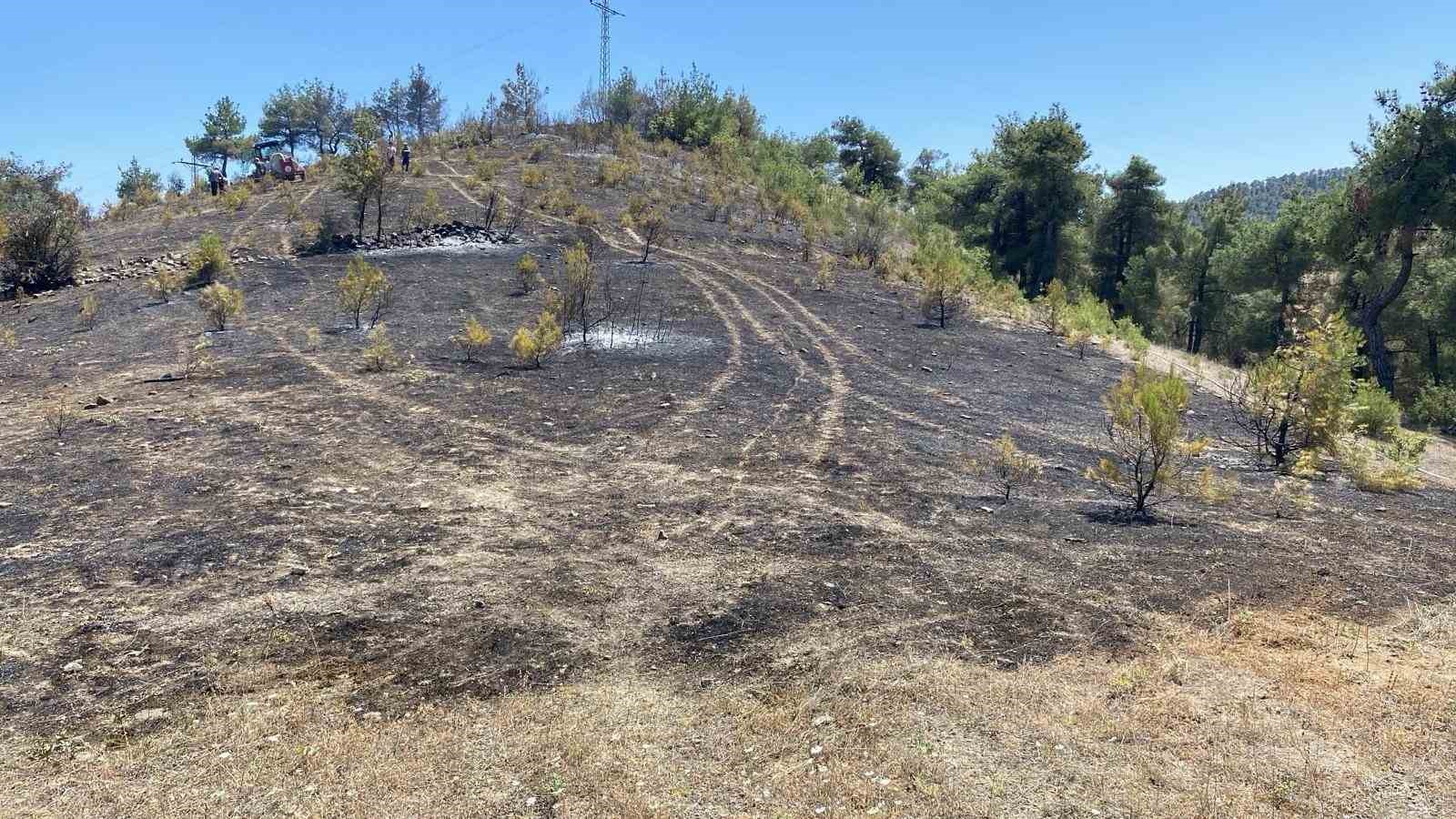 Samsun’da örtü yangını
