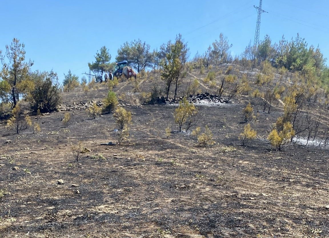 Samsun’da örtü yangını
