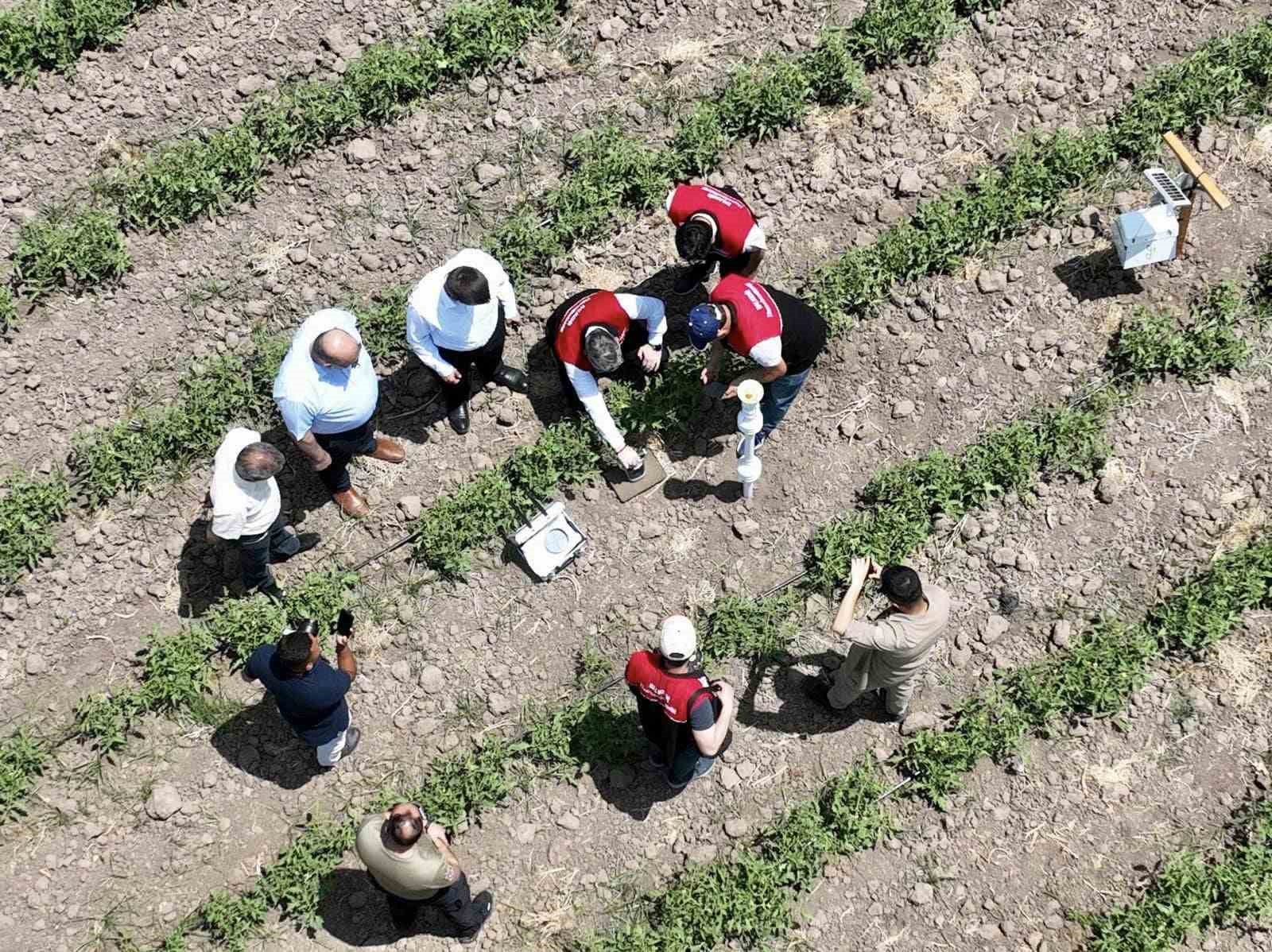 Balıkesir’de Akıllı Ova Projesi tarımda önemli rol oynayacak
