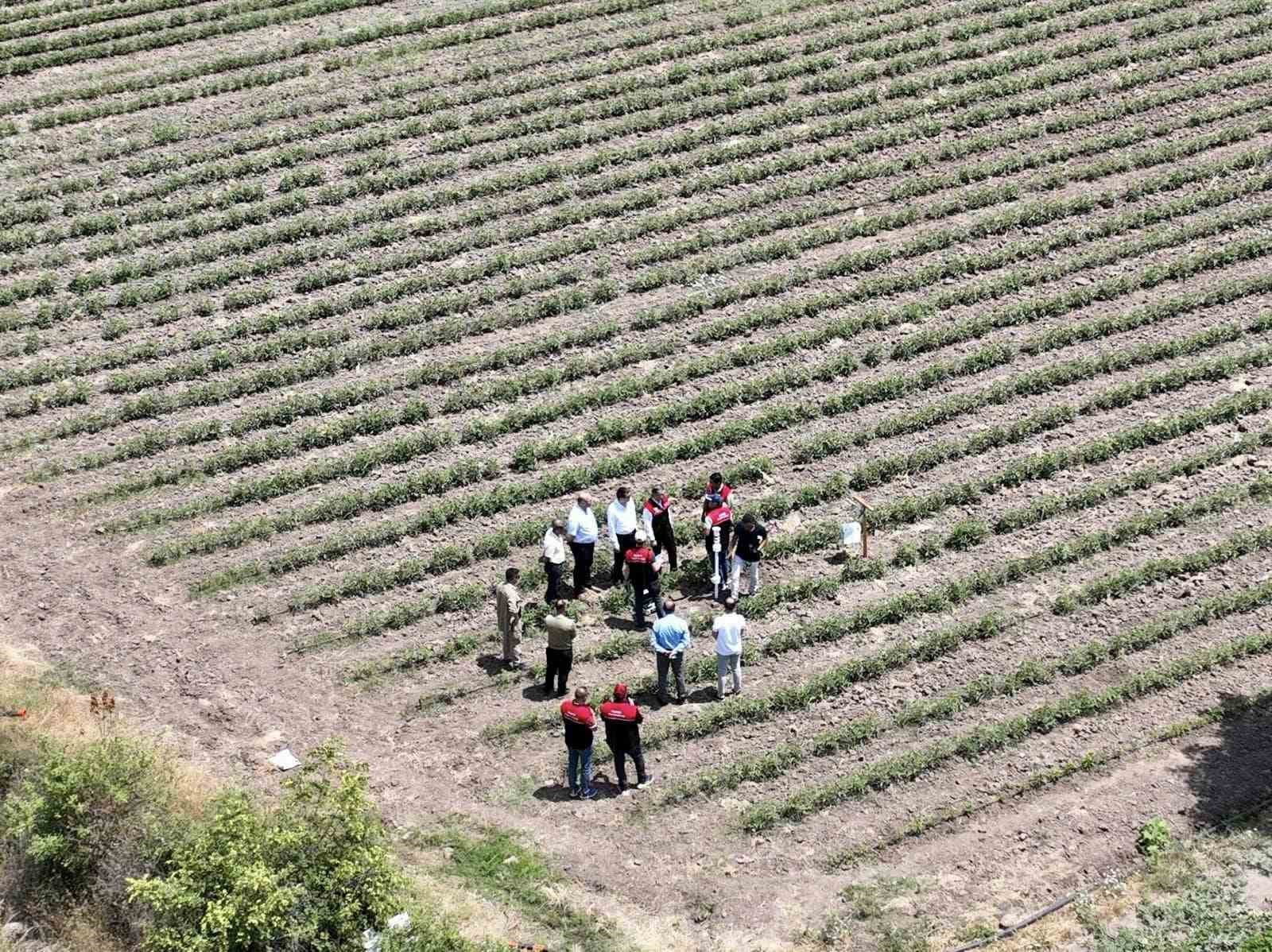 Balıkesir’de Akıllı Ova Projesi tarımda önemli rol oynayacak
