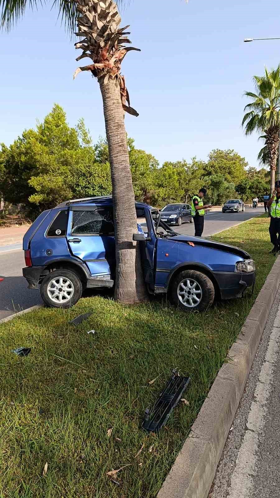 Palmiyeye çarpan araç sürücüsü hayatını kaybetti
