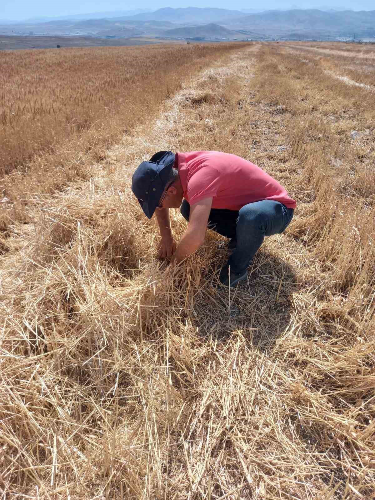 Niğde’de çiftçilere uyarı
