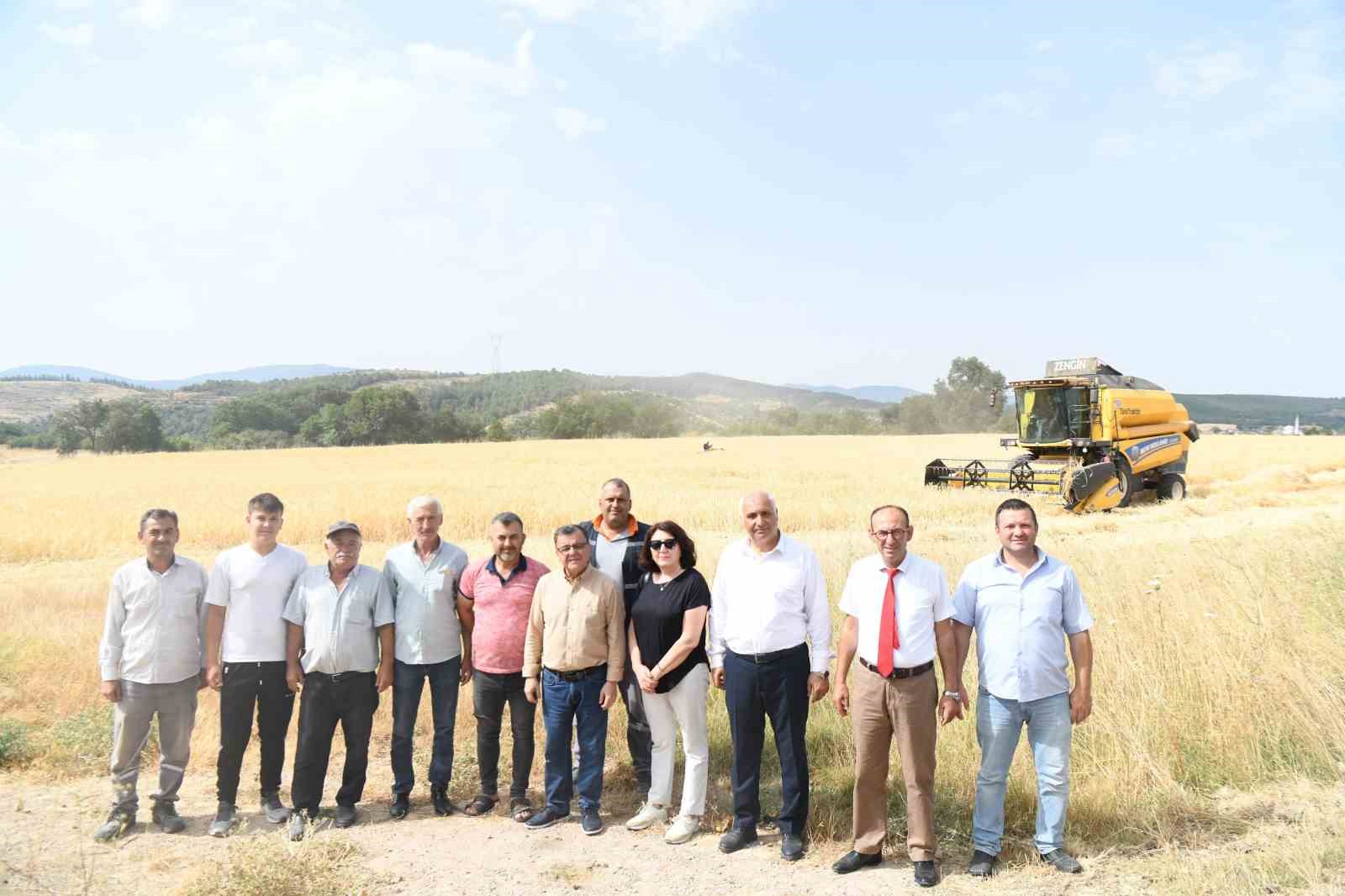 Altıeylül’de altın başak hasadı gerçekleşti
