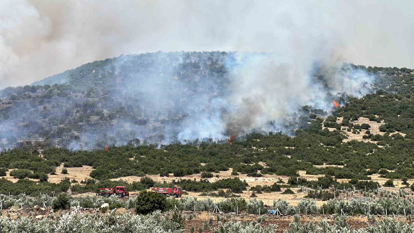 Kahramanmaraş’ta makilik alanda çıkan yangın kontrol altına alındı
