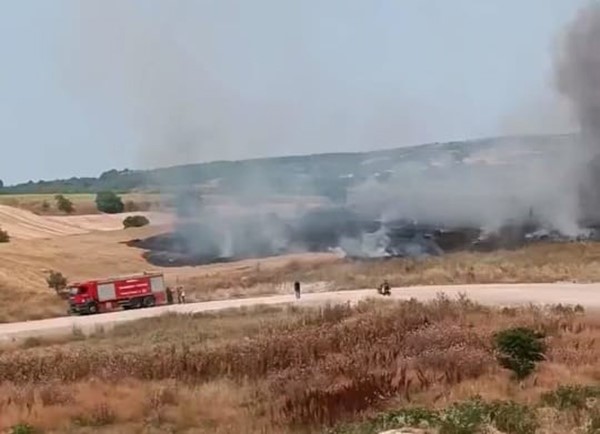 İnegöl’de buğday tarlası alevlere teslim oldu
