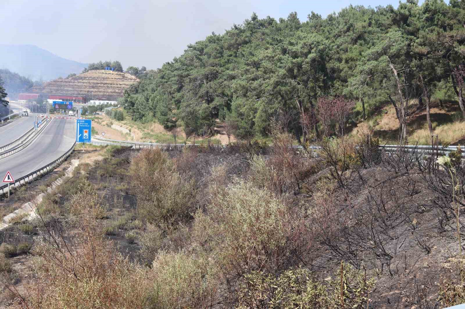 Alevler evinin bahçesine kadar geldi, gözyaşlarına hakim olamadı
