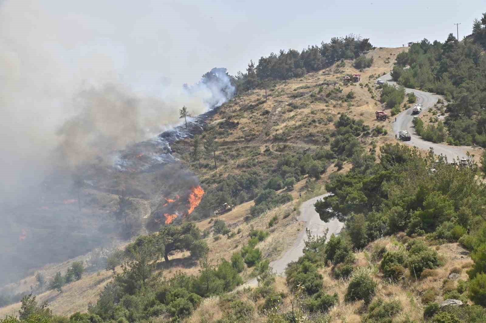 Manisa Büyükşehir İtfaiyesi evleri yanmaktan kurtardı
