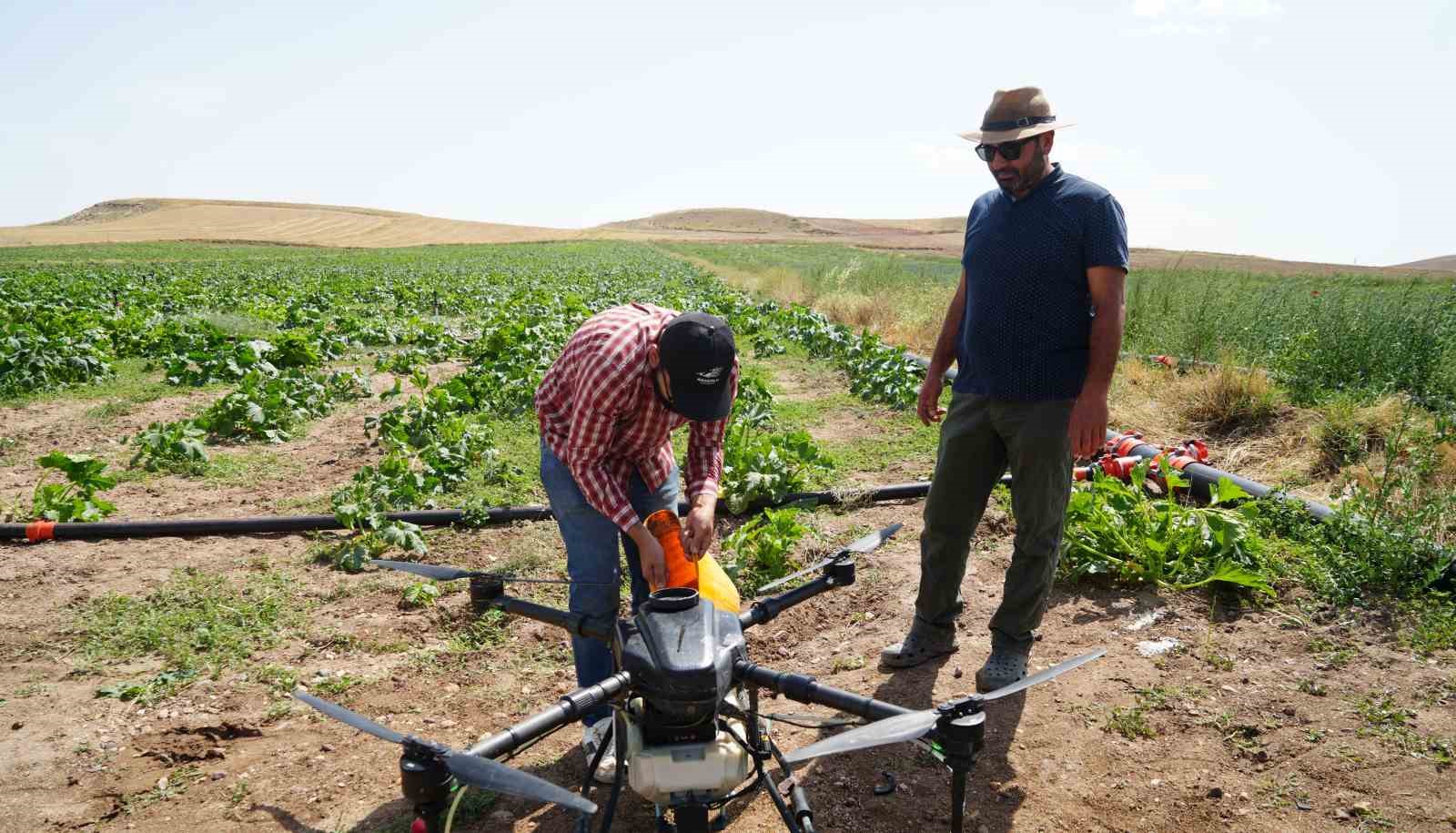 İlaçlamayı dronla yaptı, her 100 dönümde 150 bin liralık kaybı önledi
