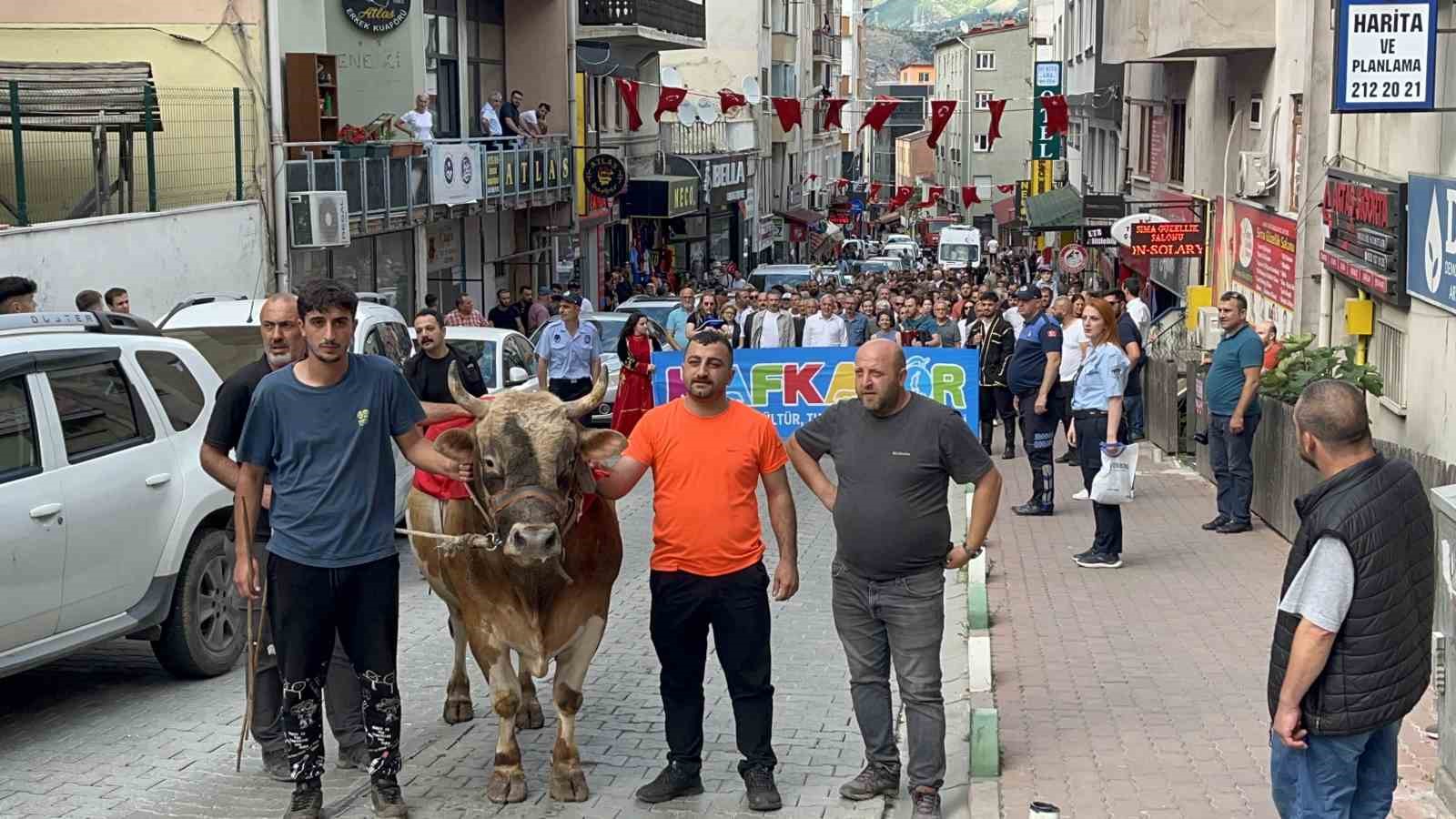 43. Kafkasör Festivali boğalı kortej yürüyüşüyle başladı
