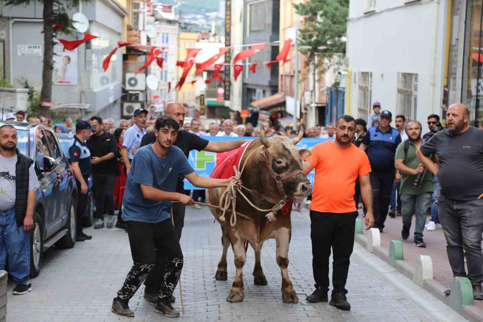 43. Kafkasör Festivali boğalı kortej yürüyüşüyle başladı
