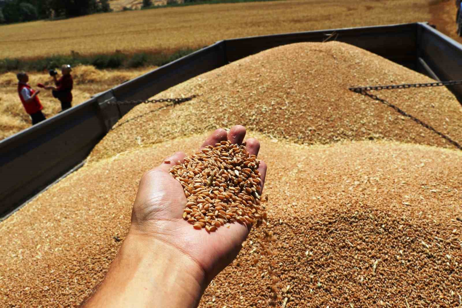 Kuraklığa rağmen ürün rekoltesinde artış
