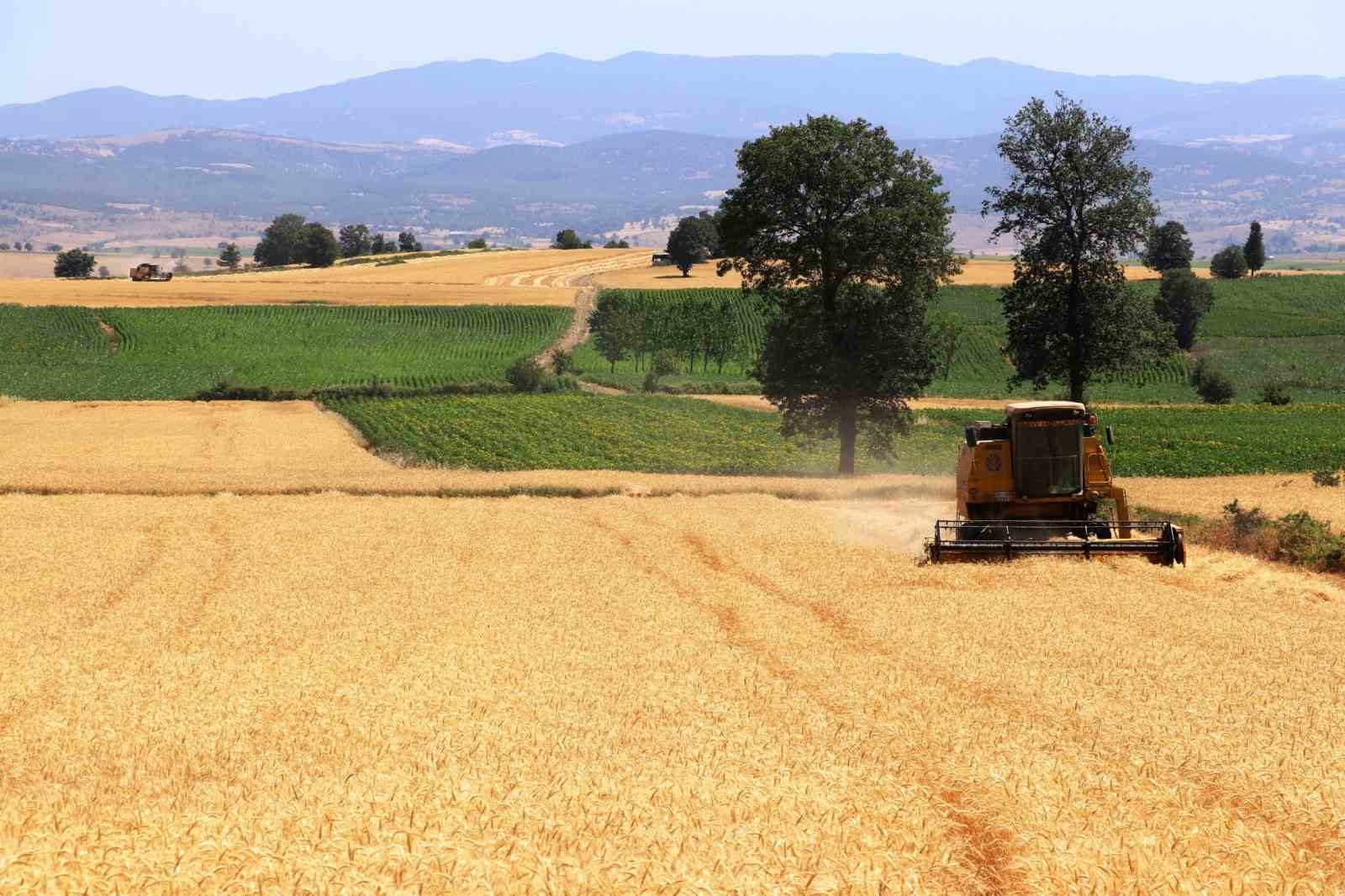 Kuraklığa rağmen ürün rekoltesinde artış
