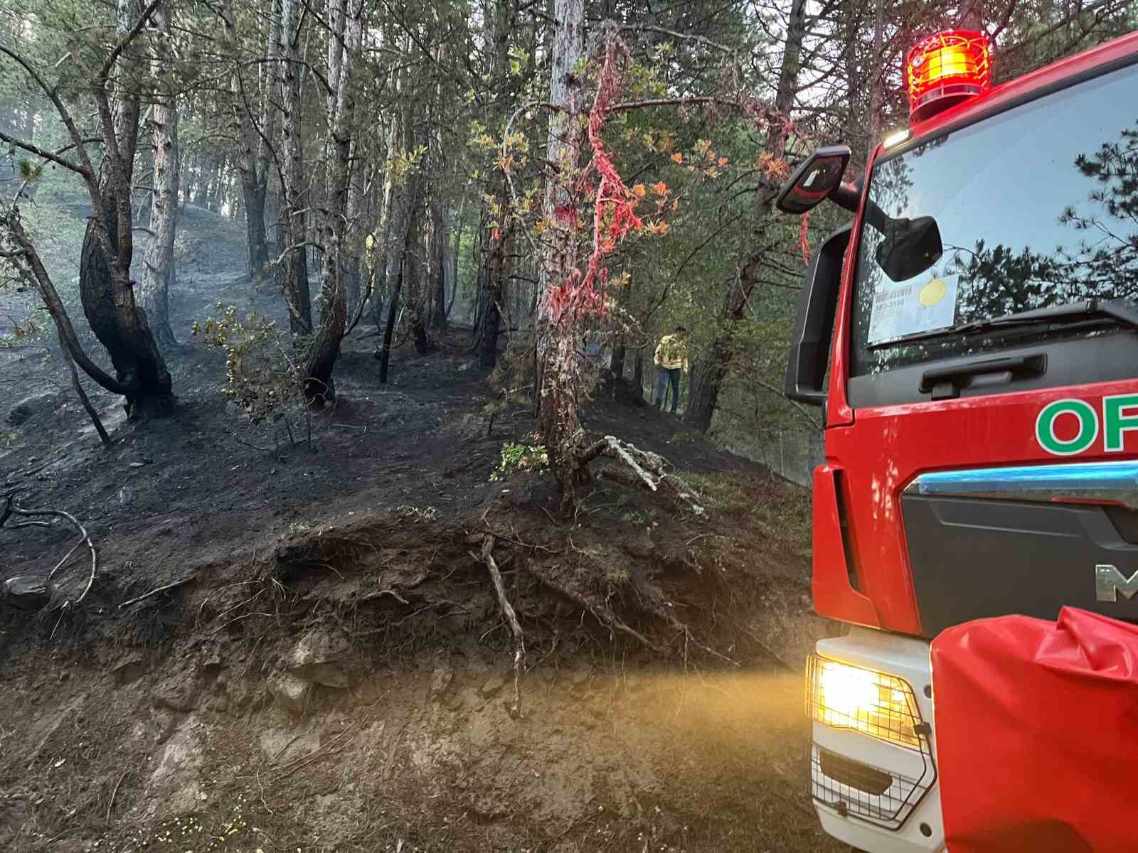 Kastamonu’da düşen yıldırım orman yangınlarına sebep oldu
